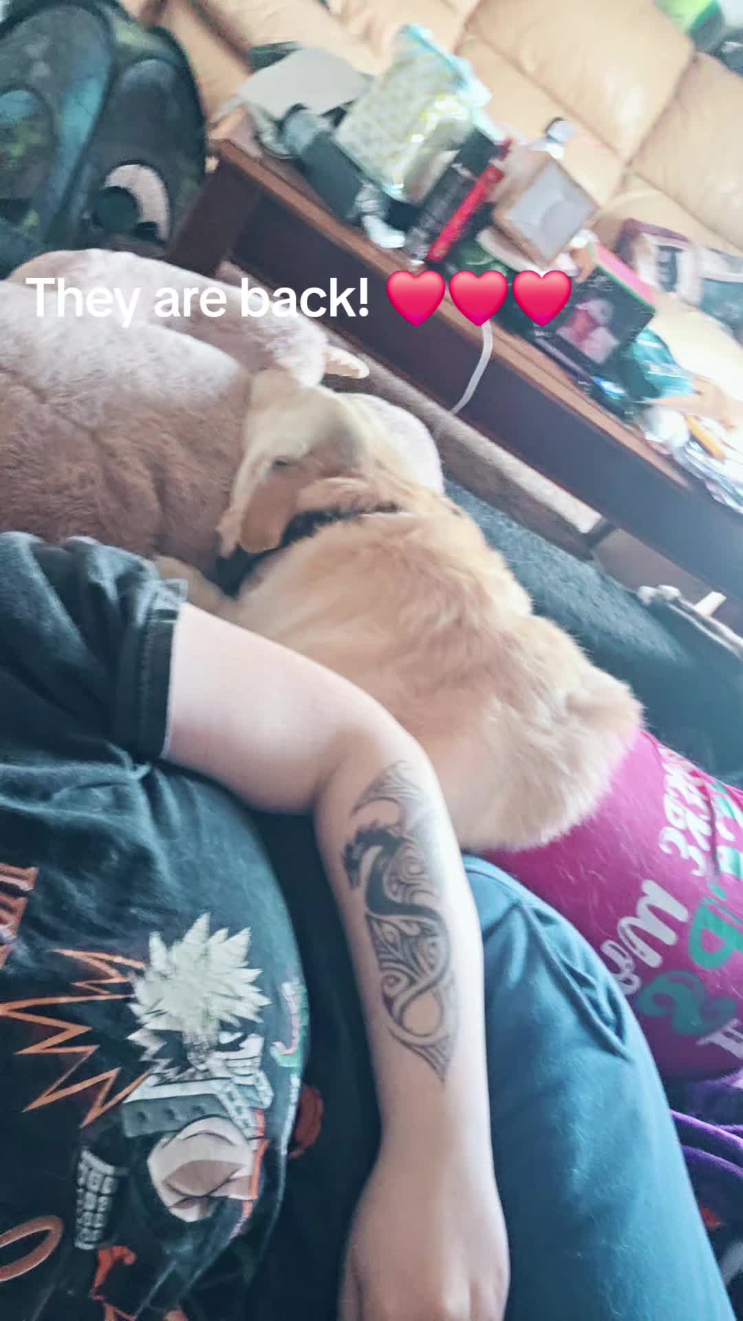 @shadow_phoenixrose