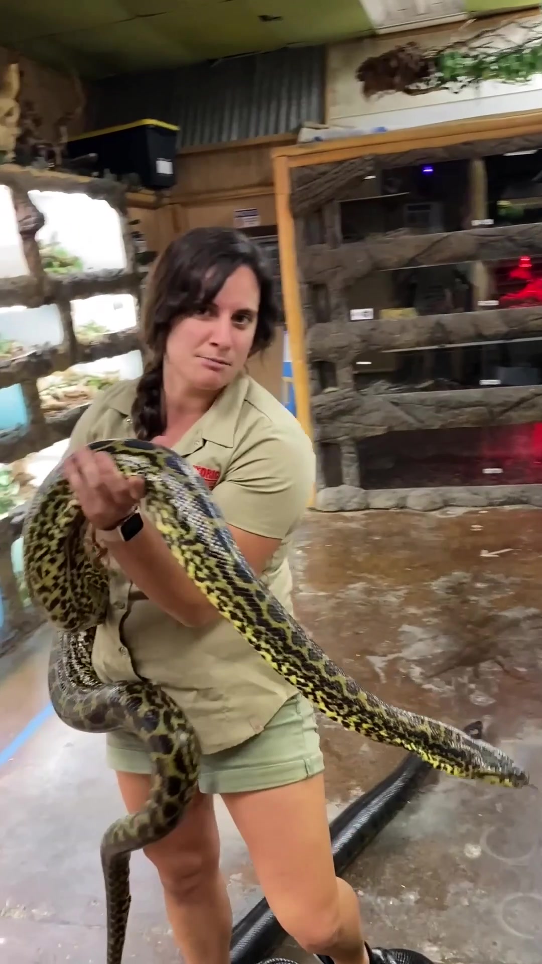 @The Reptile Zoo