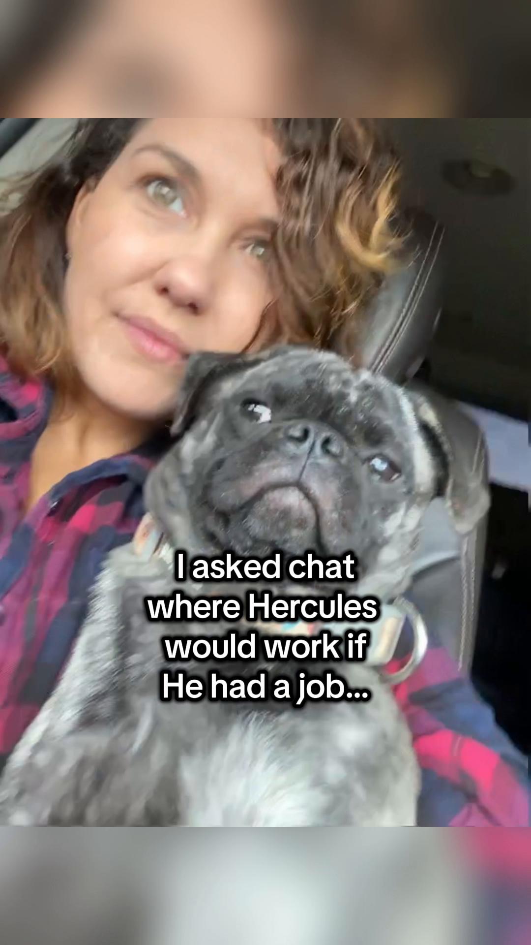 @3gents4everlittlelady