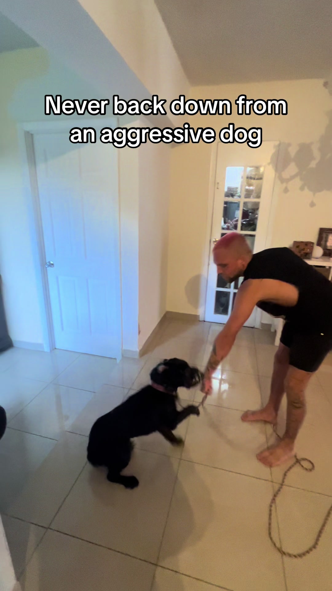 @balancedcanineacademy