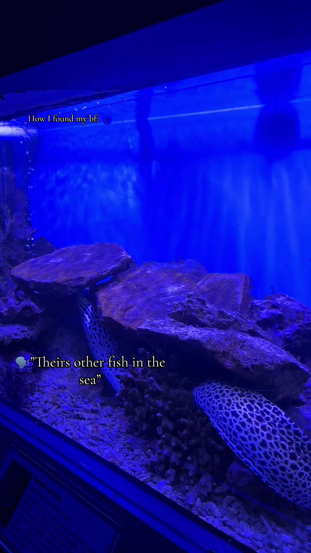 @🤍