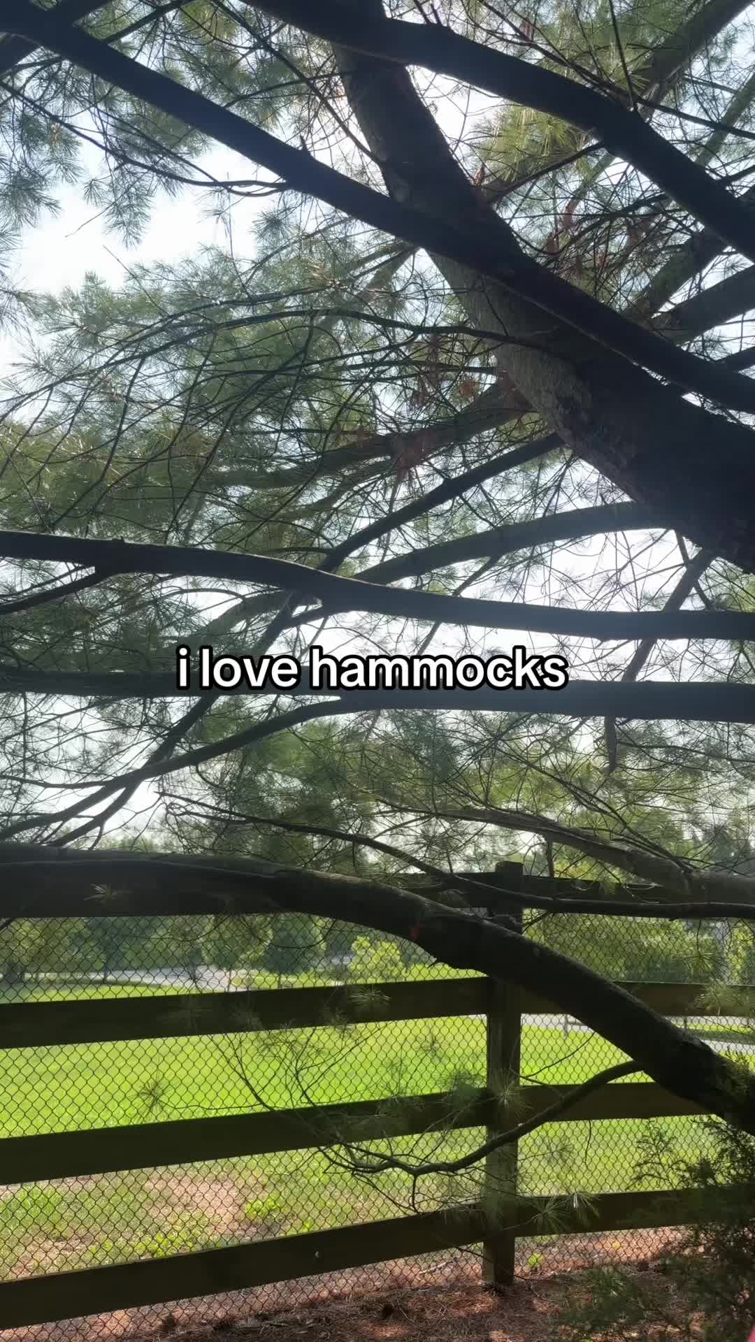 @grace.