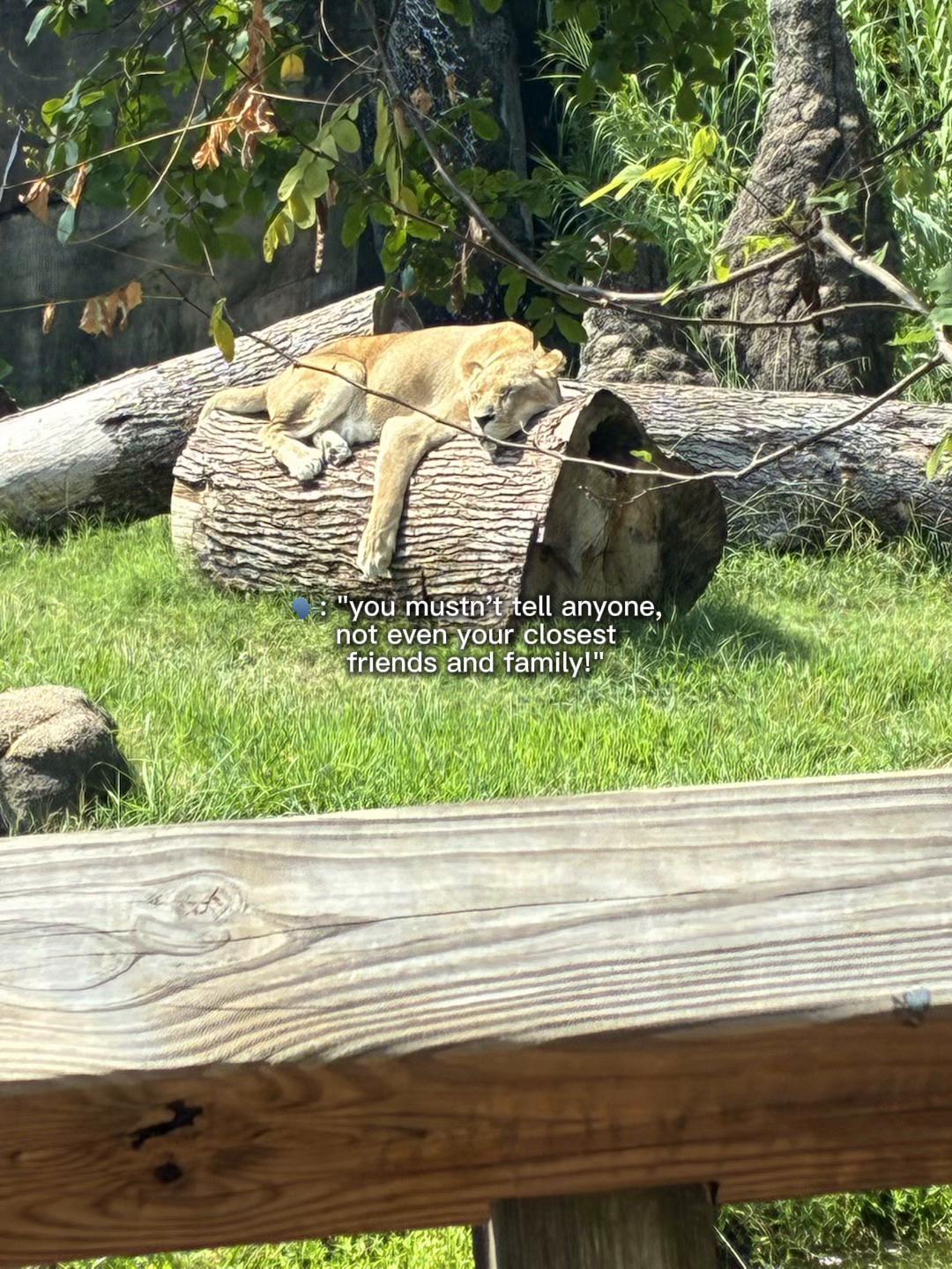 @Ťřøűbłē māķeř