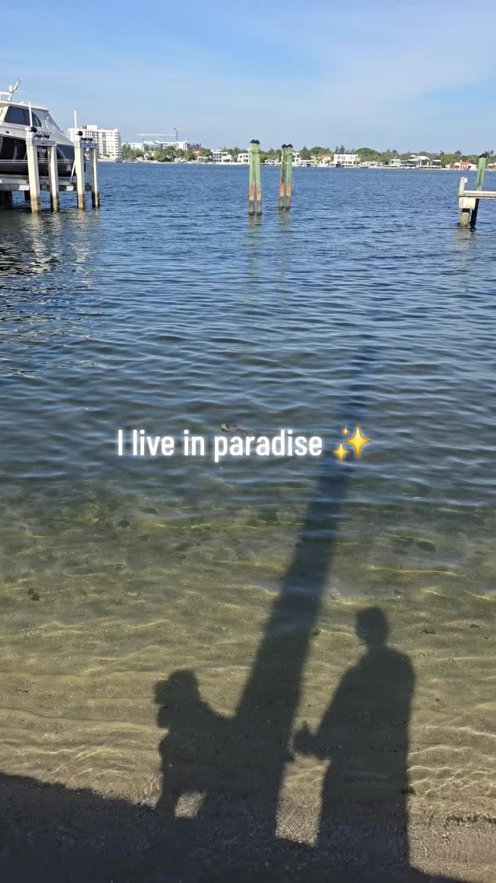 @SkkyDogWalker