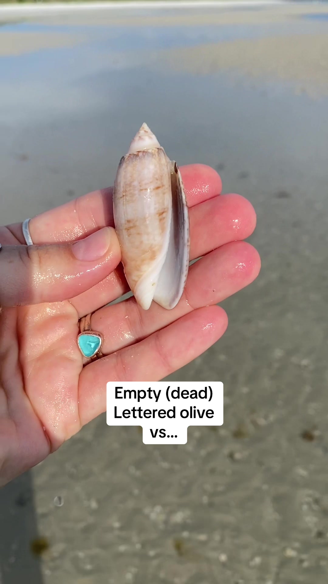 @🐚Jojo🌴