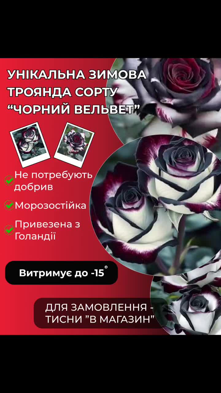 @Buy store shop