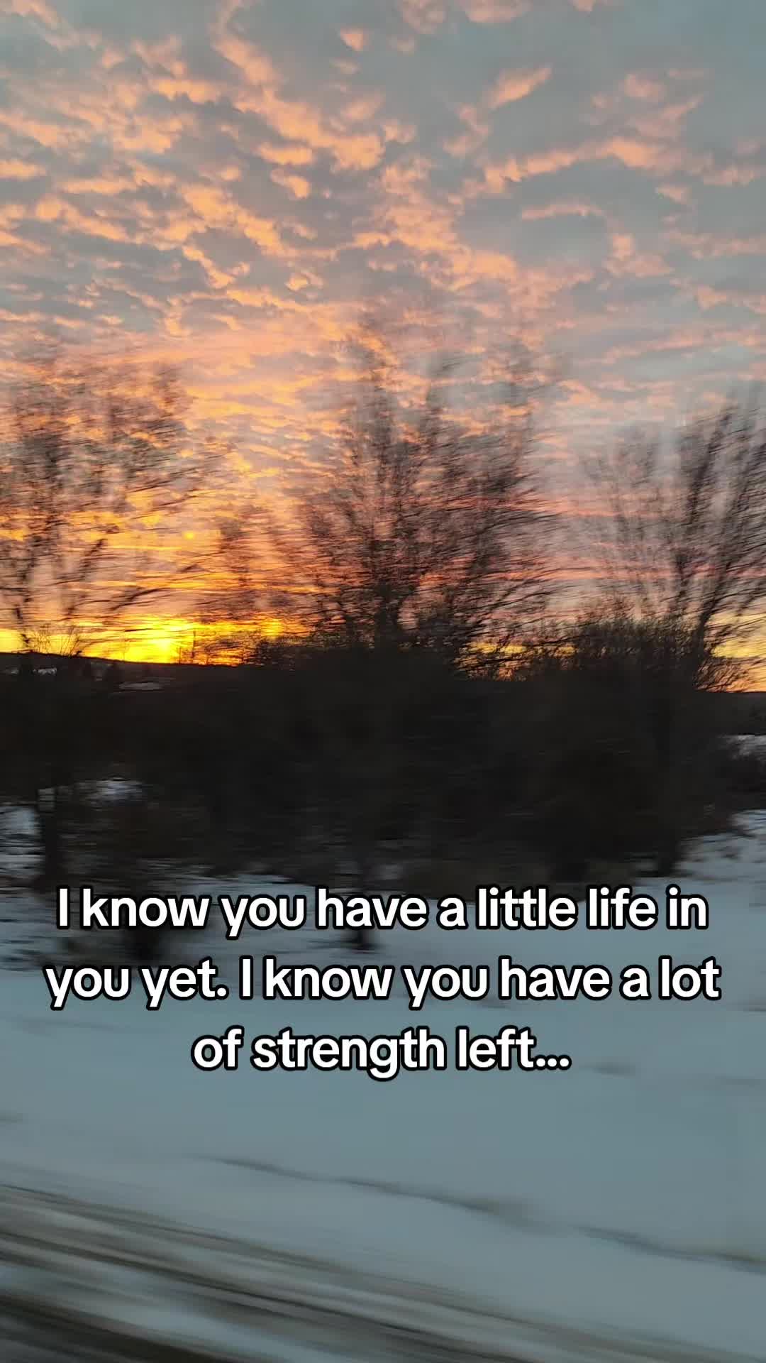 @lctgoodnight