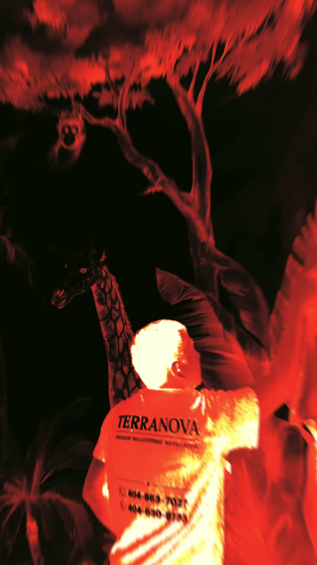 @TERRANOVA BUILD