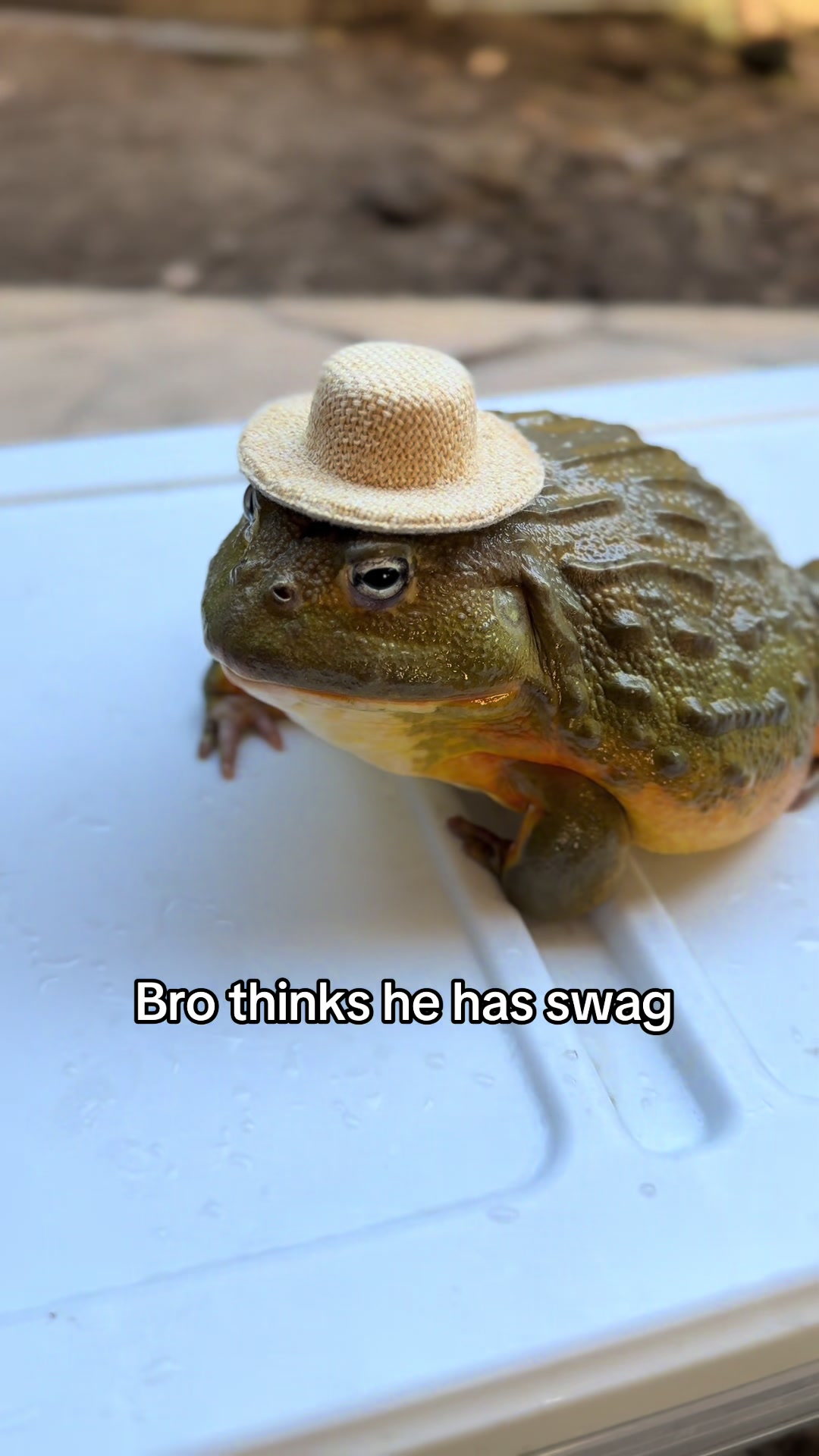 @Bionic Benny