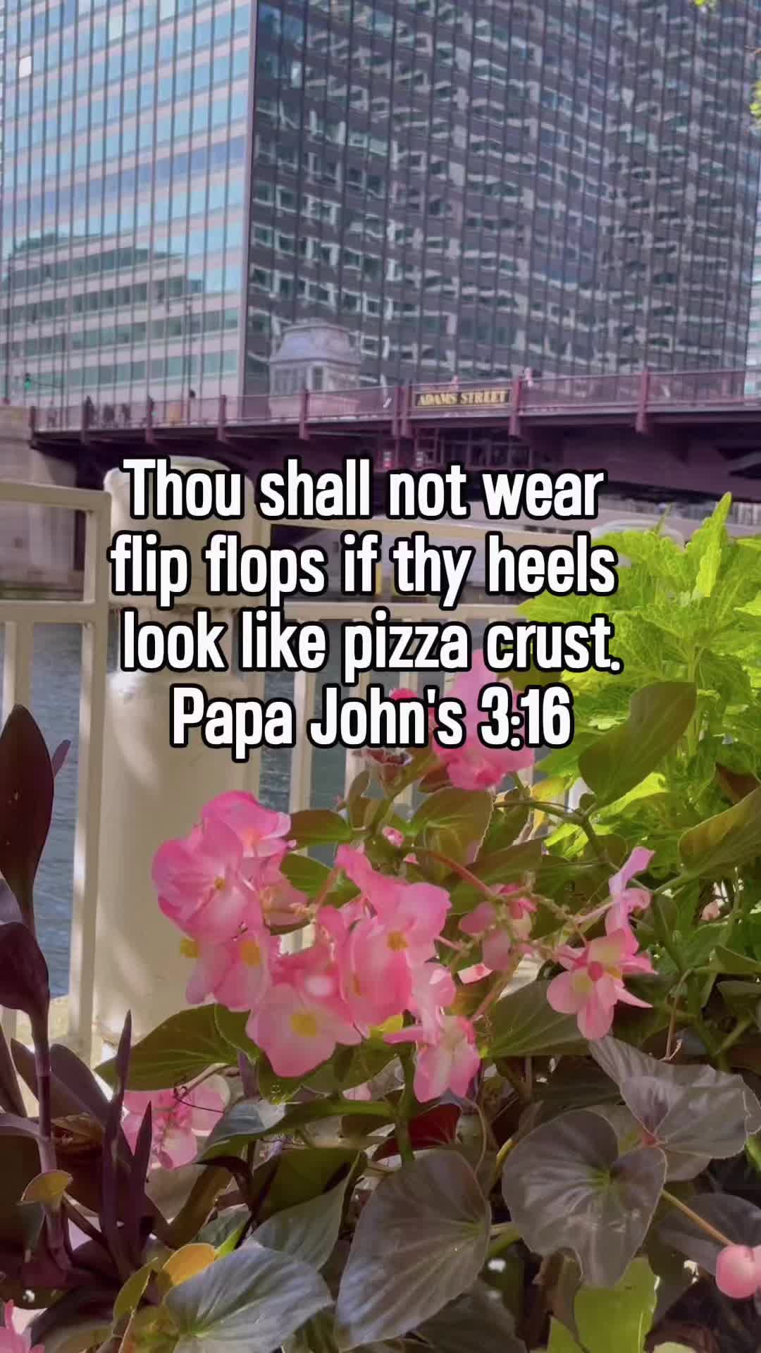 @chicagoviews312
