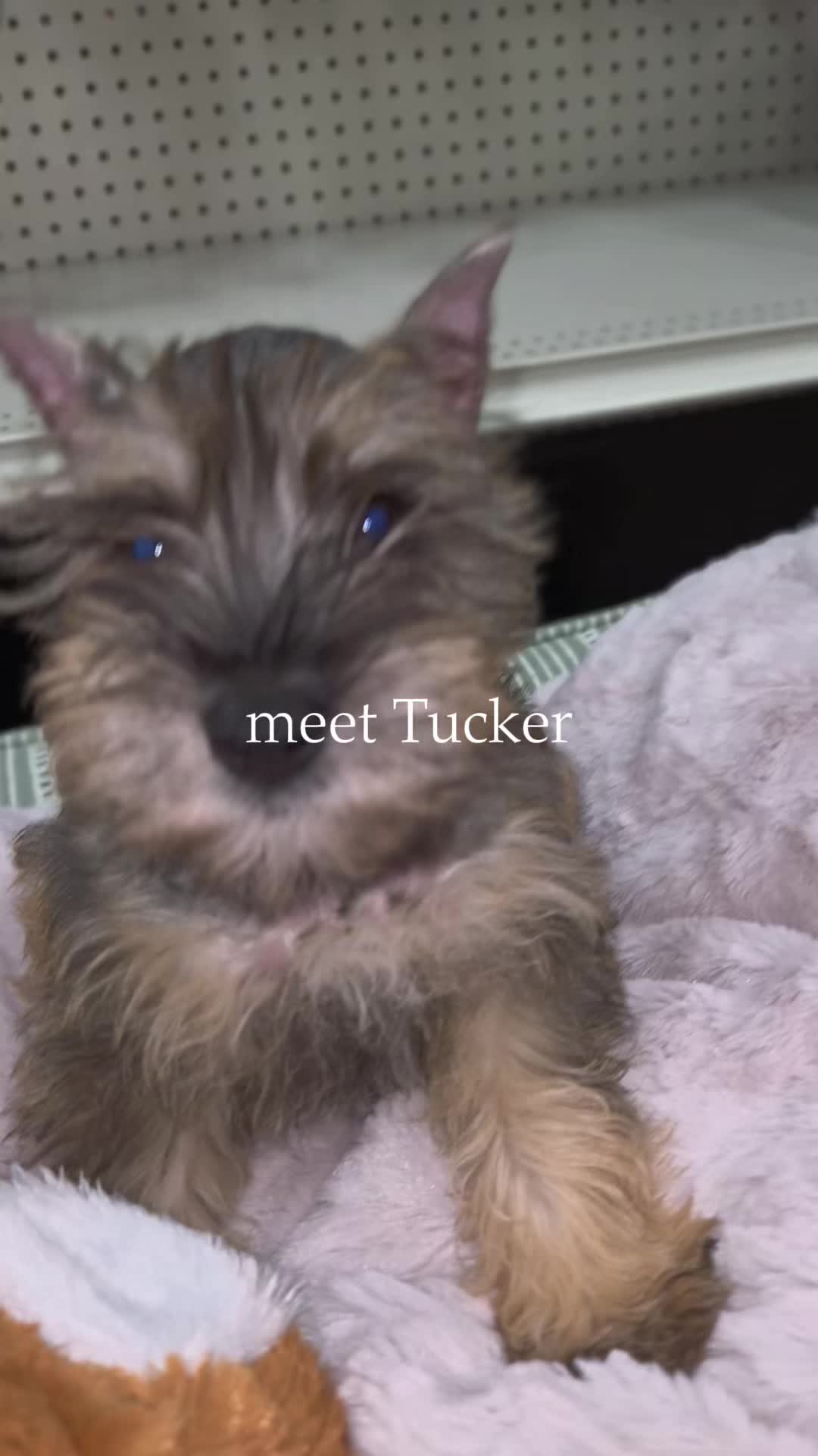 @Petland Oklahoma City