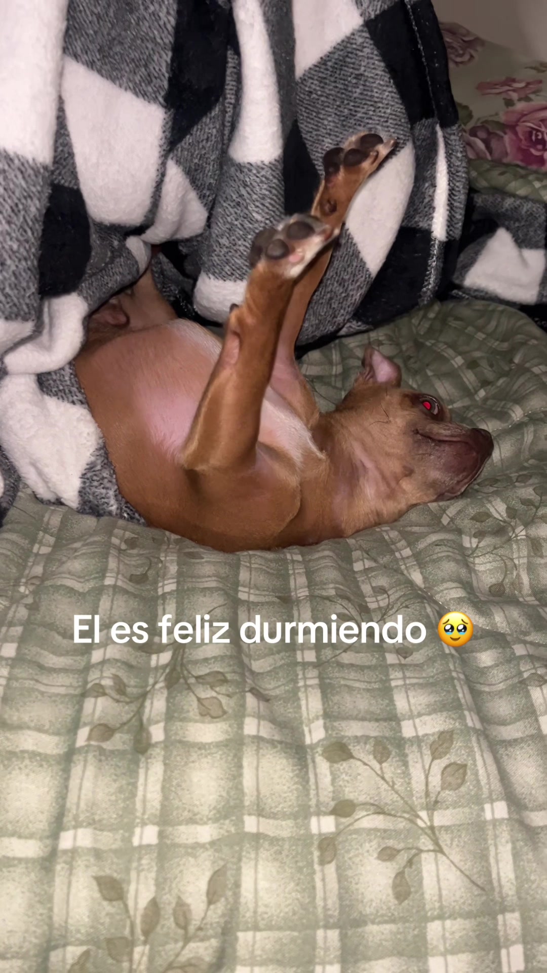 @vanessita