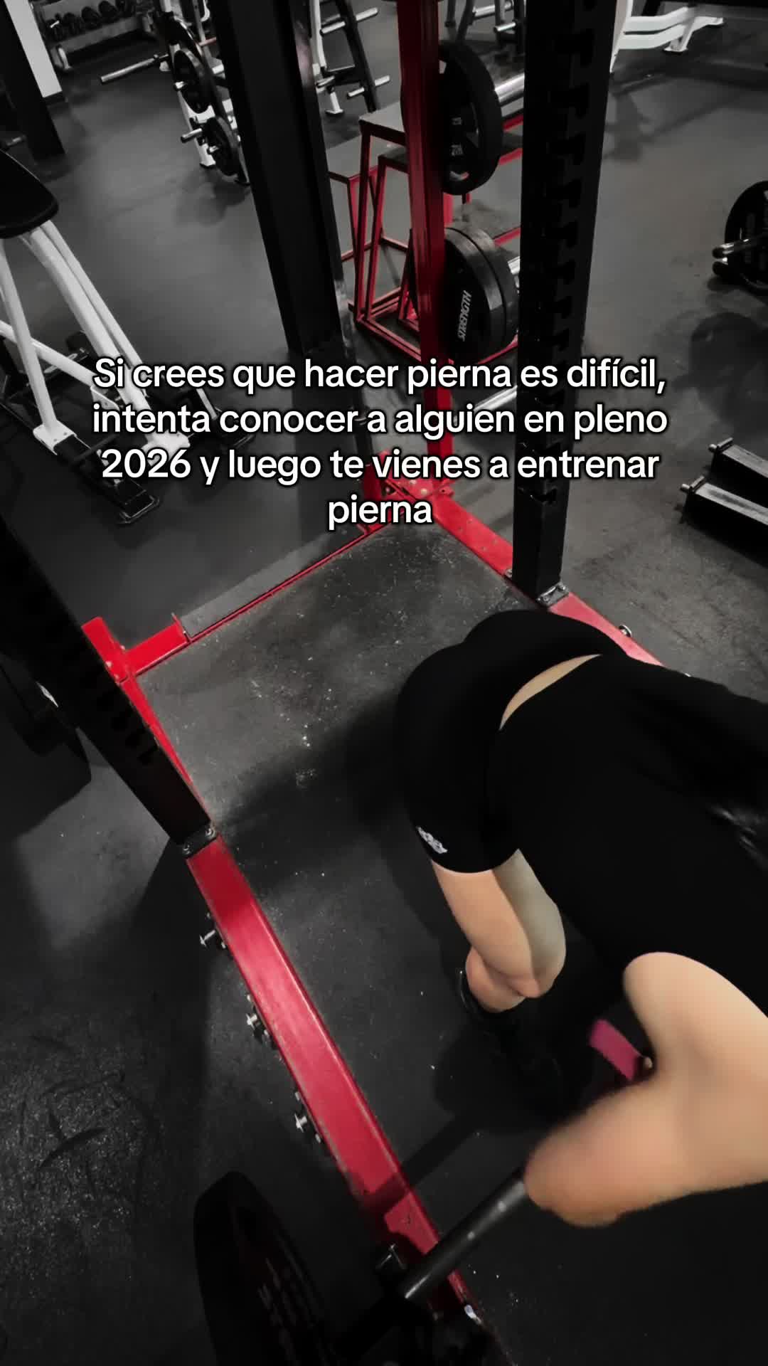@andreamotac2