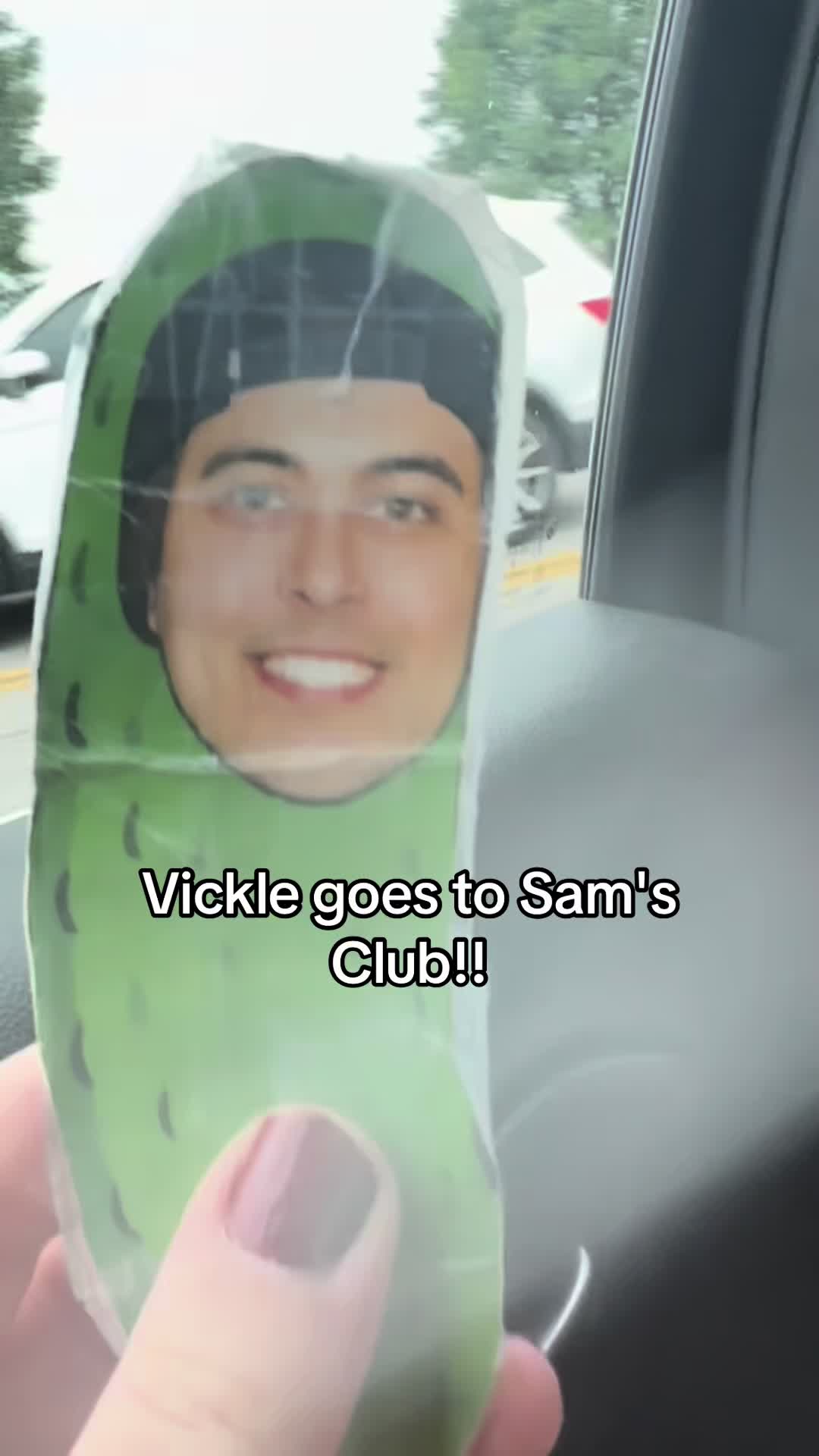 @Vickle Travels