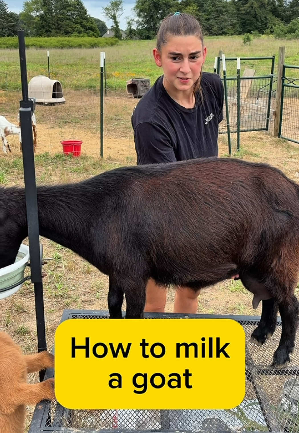 @Heart & Hoof Homestead