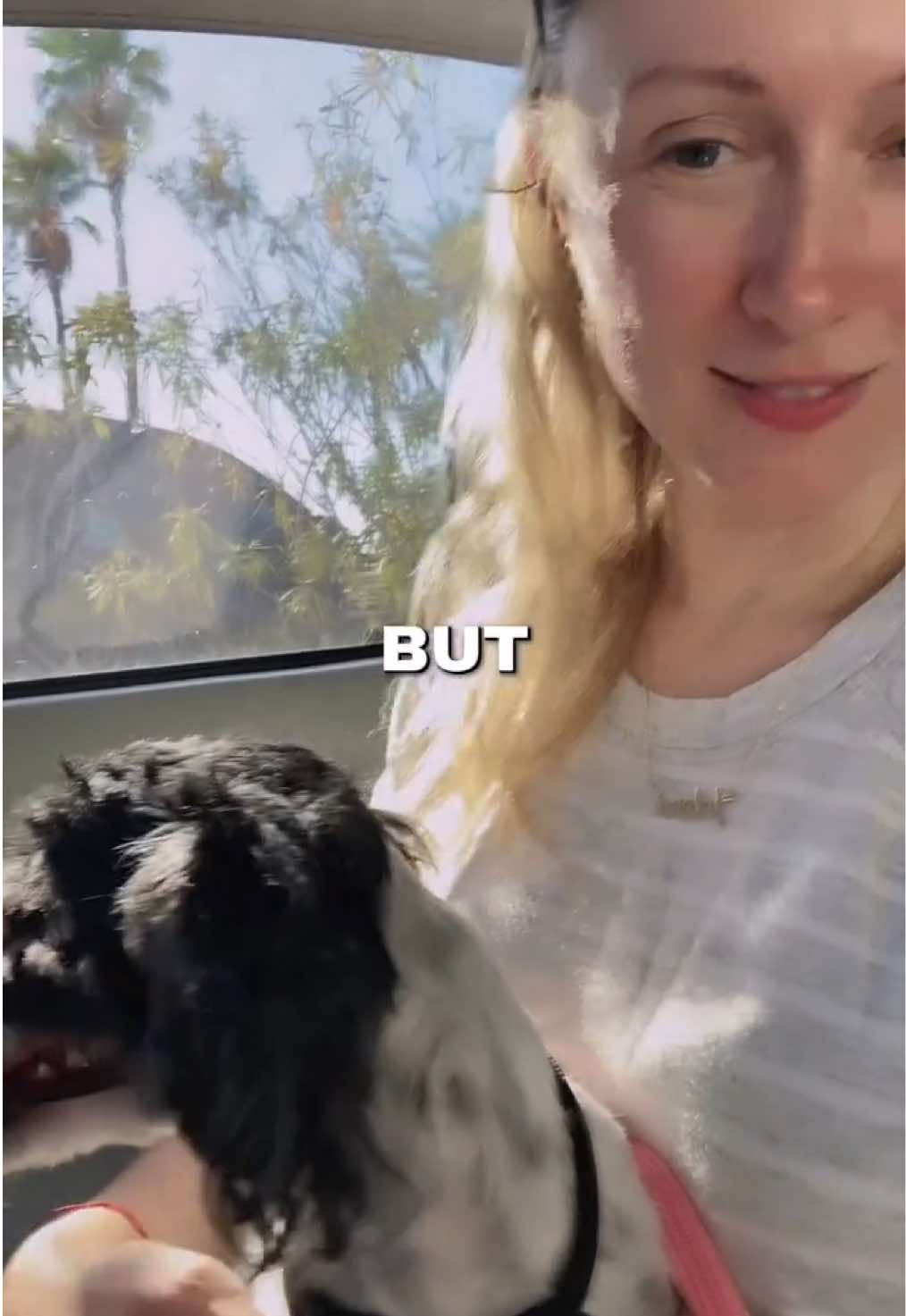 @turningheadscollective