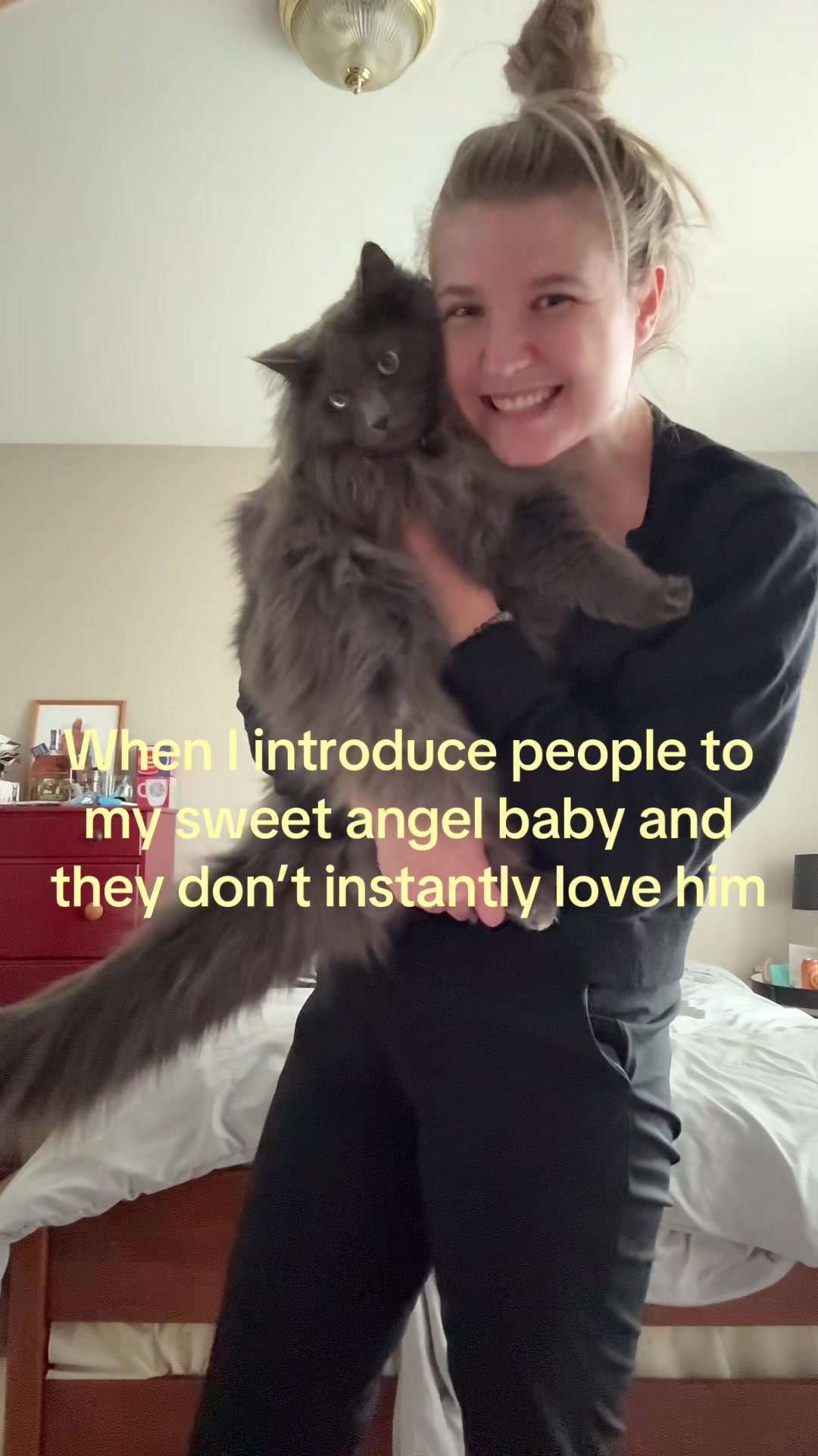 @TitoNTati 🐾