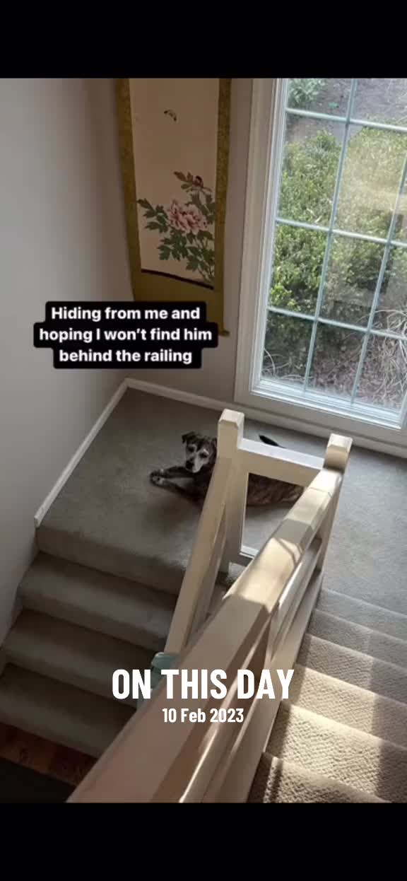 @Olivia in England