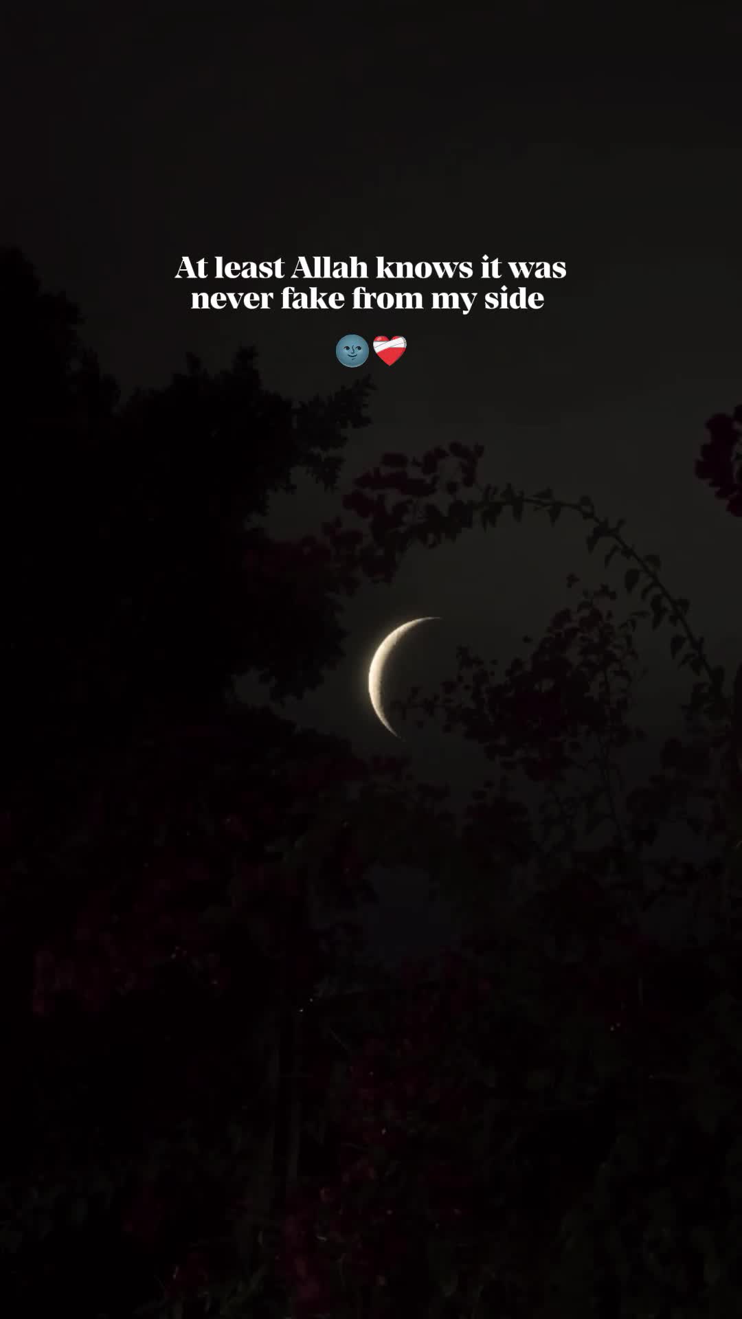 @★彡[ᴠɪʙɪɴɢᴡɪᴛʜ_ᴡᴀꜱɪꜰꜱʜᴀʜᴢᴀᴅ]彡★