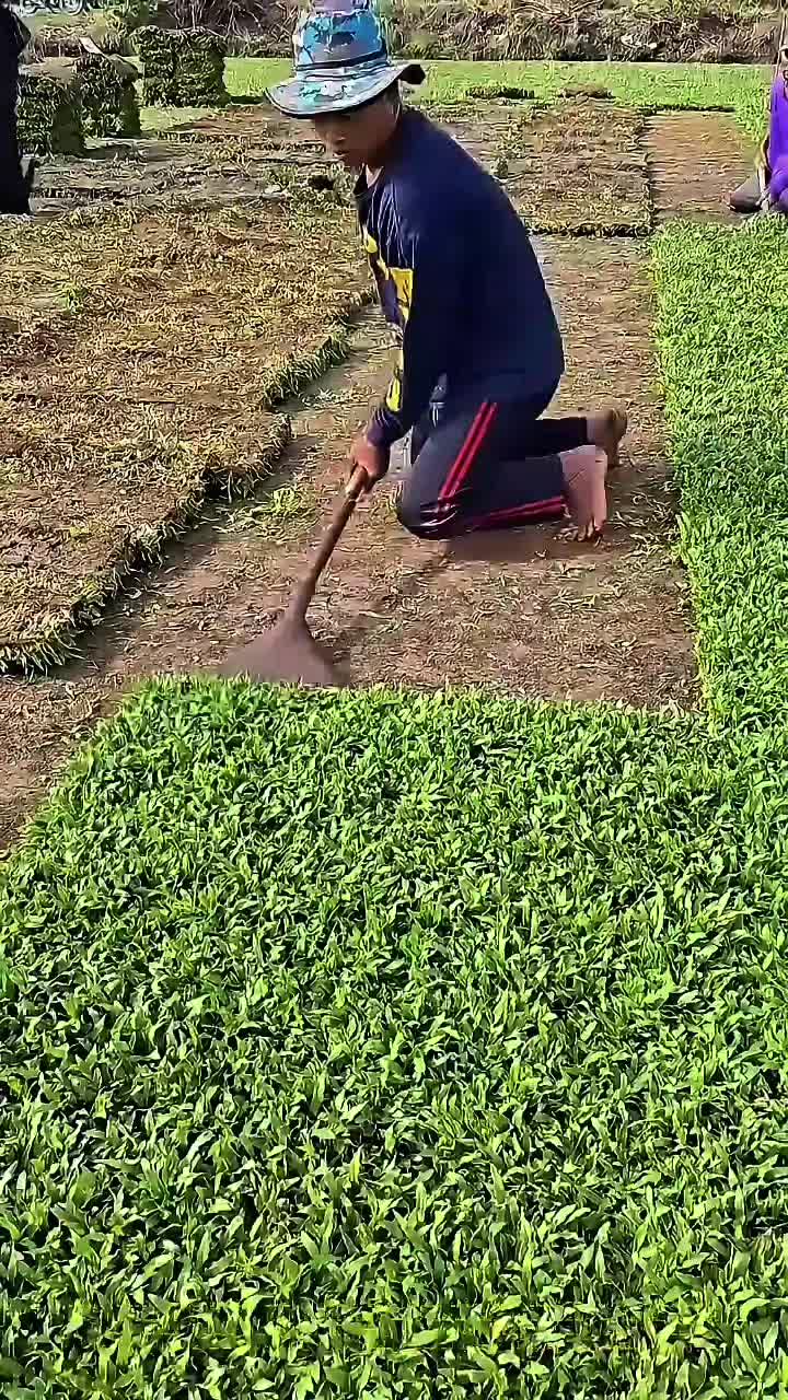 @◉‿◉