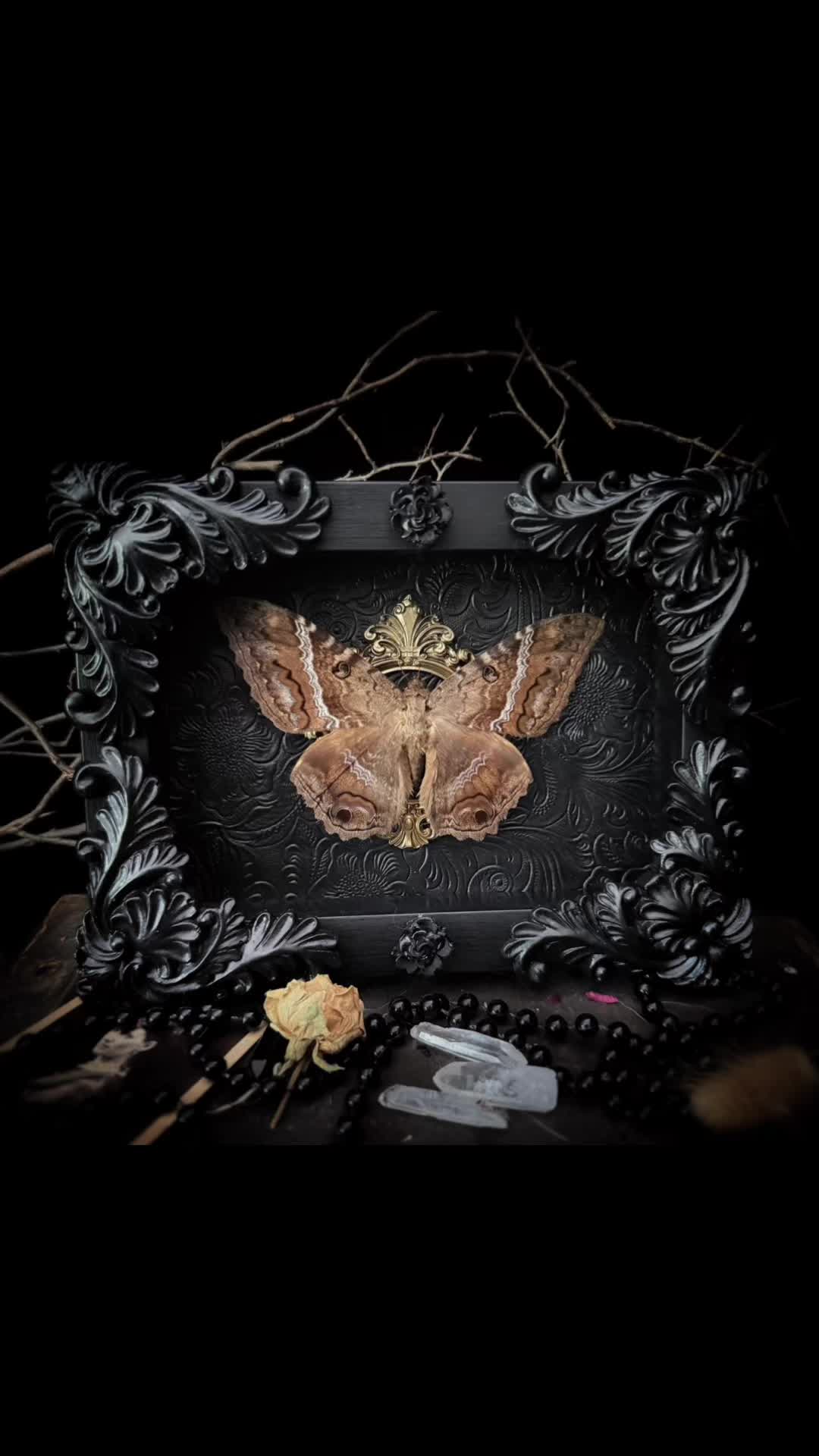 @🕯️Madame L&rsquo;s Art Oddities🕯️