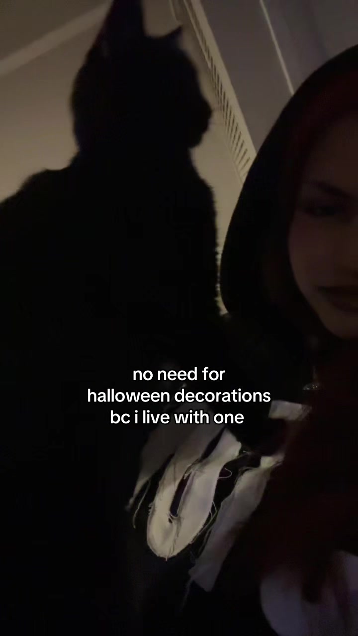 @ari ⊹