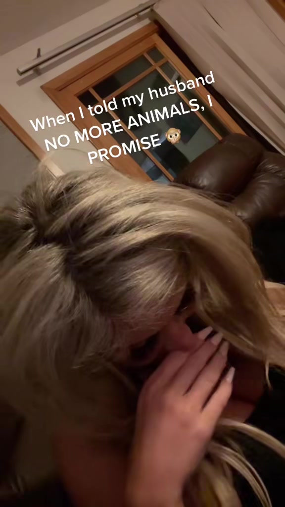 @Stachias•World👸🏼🐈🐕🦺♥️🐾