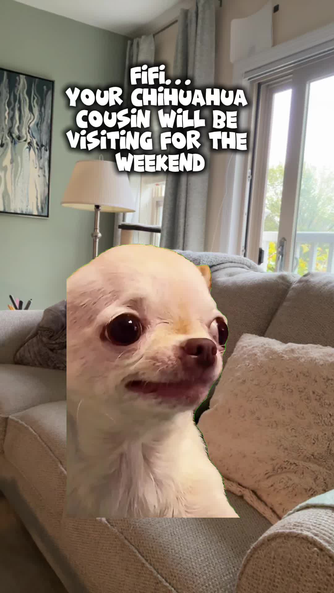 @Judith-i