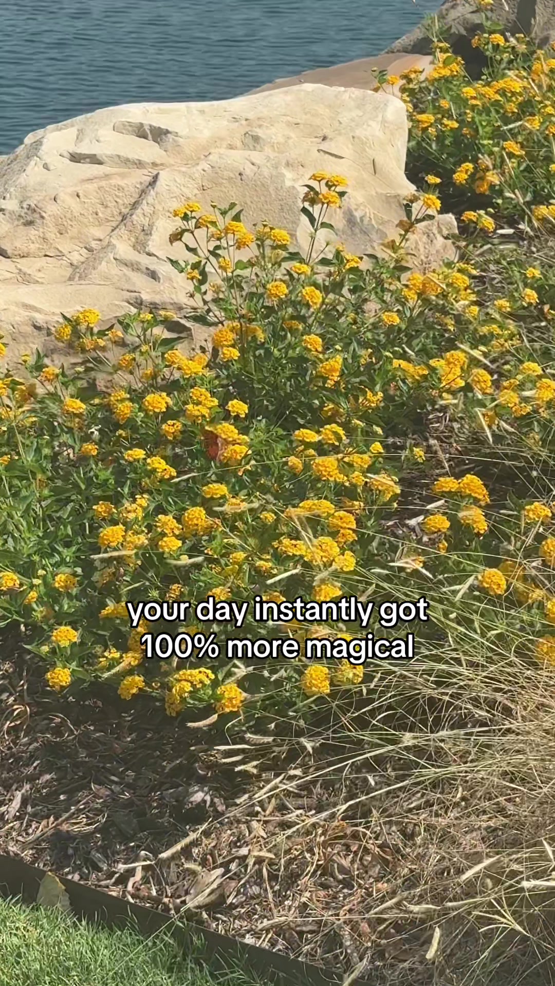 @Duchess of Happiness™️