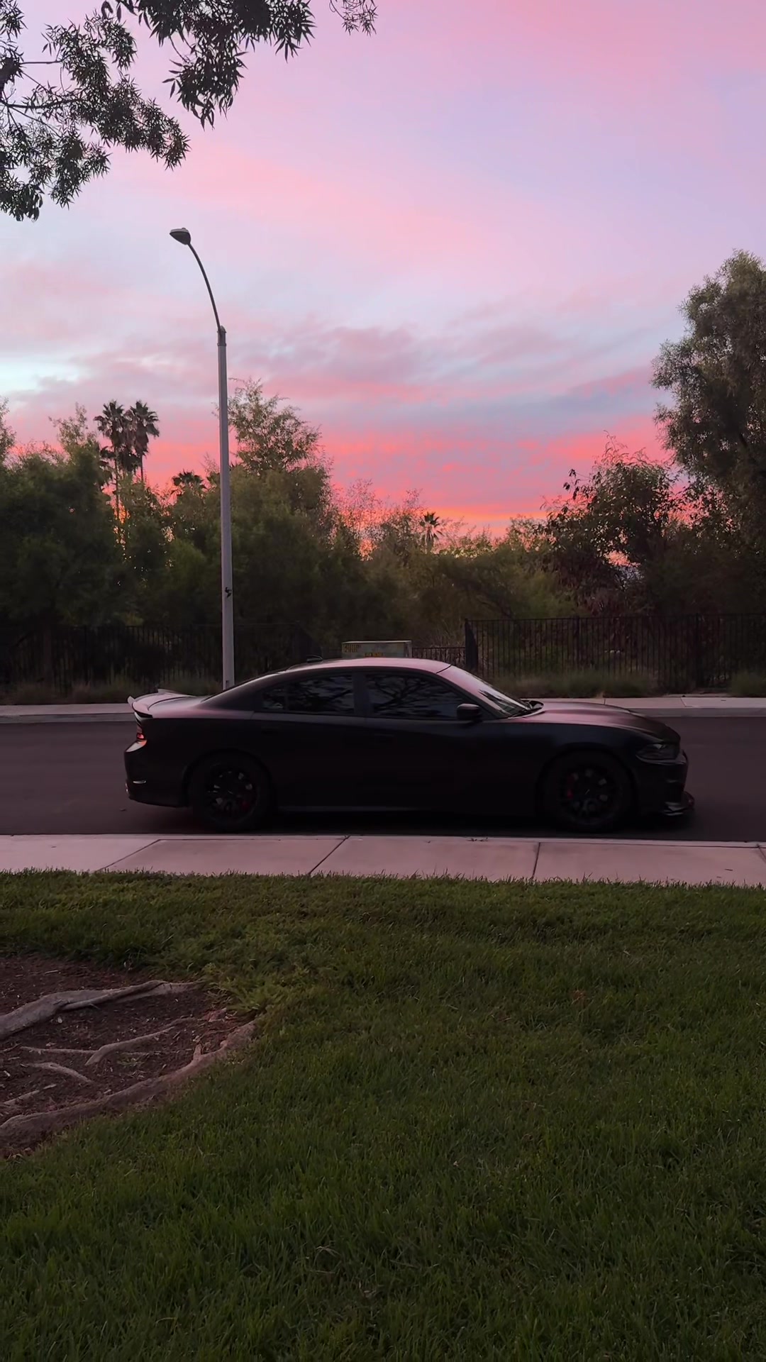 @Srtcam