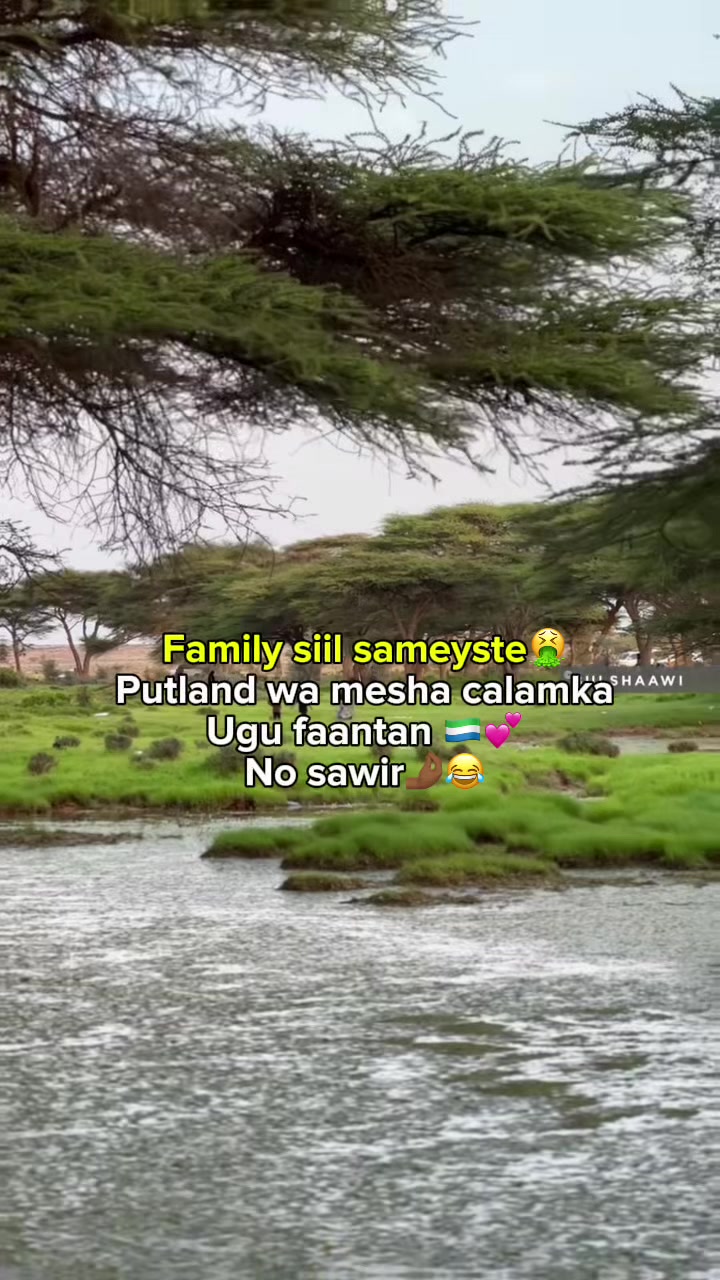 @Holac🇸🇱