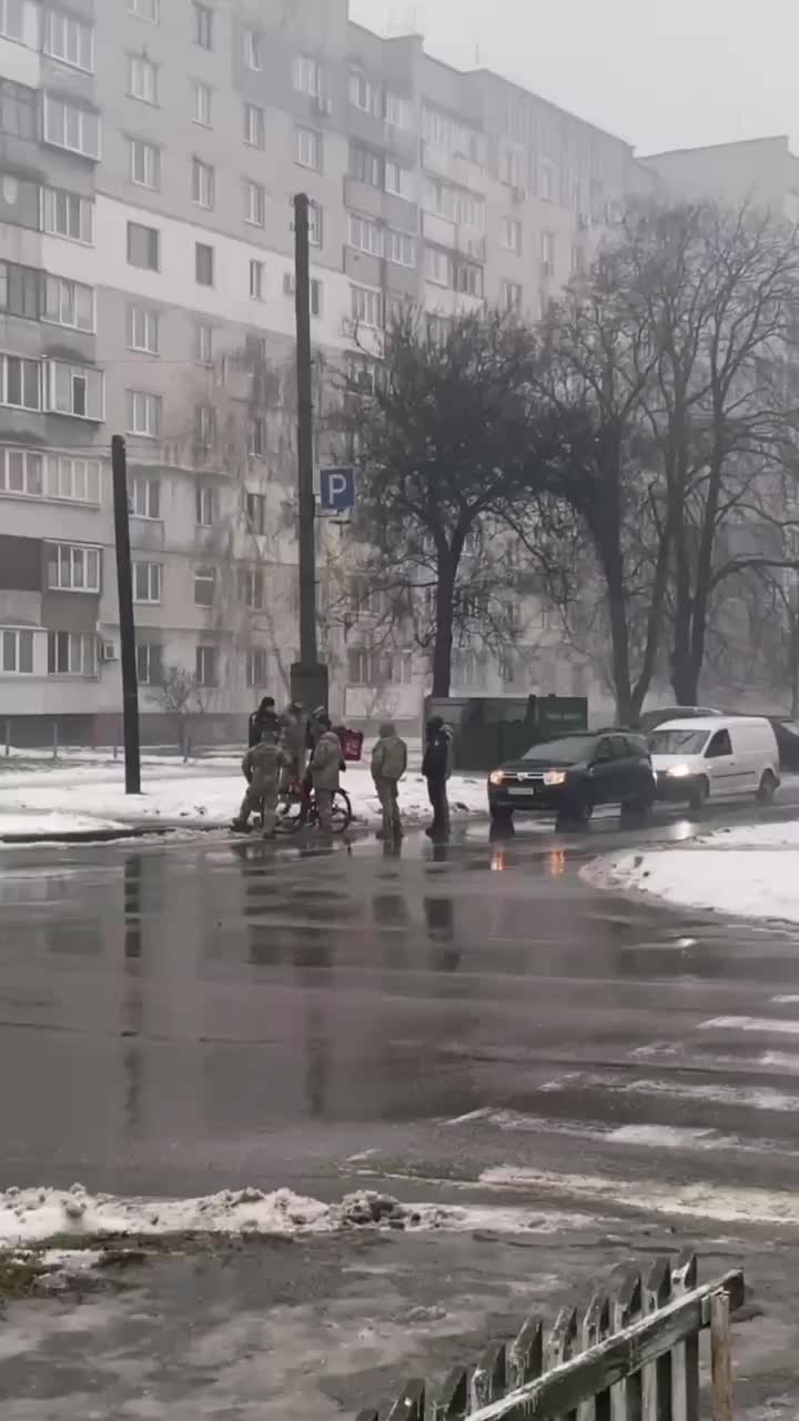 @Усатый - полосатый