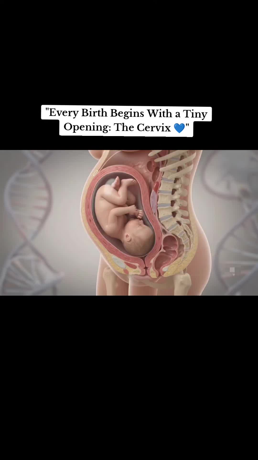 @BABY INSIDE-7