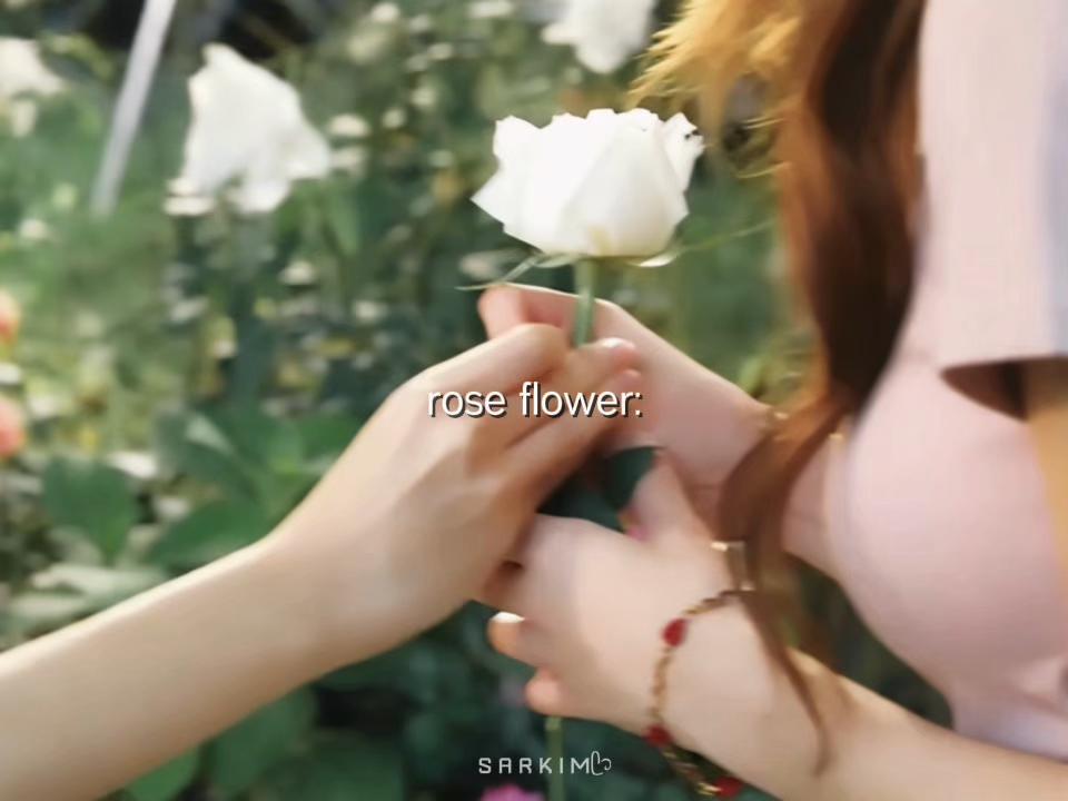 @sarkimᥫ᭡