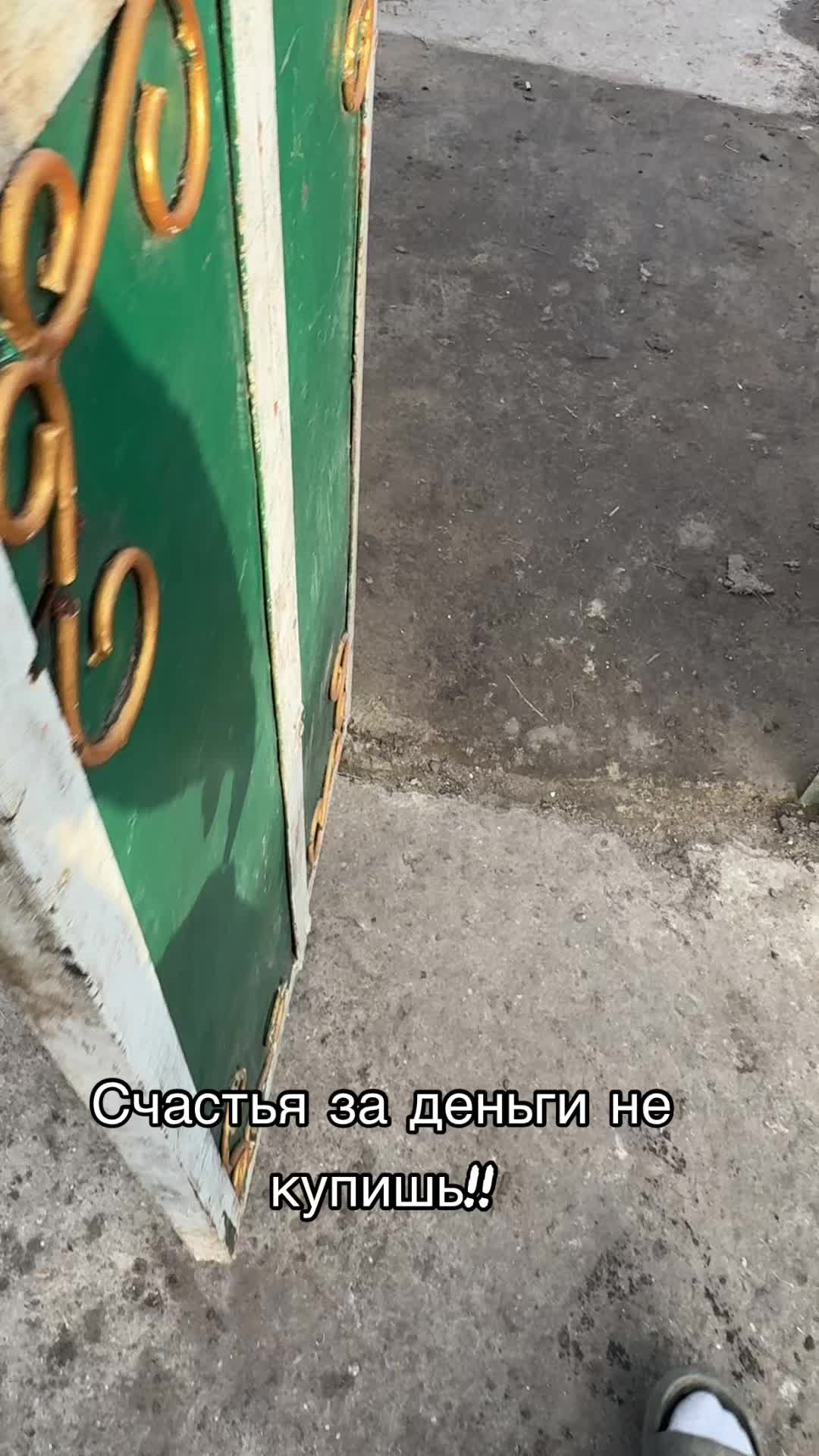 @senderey_11