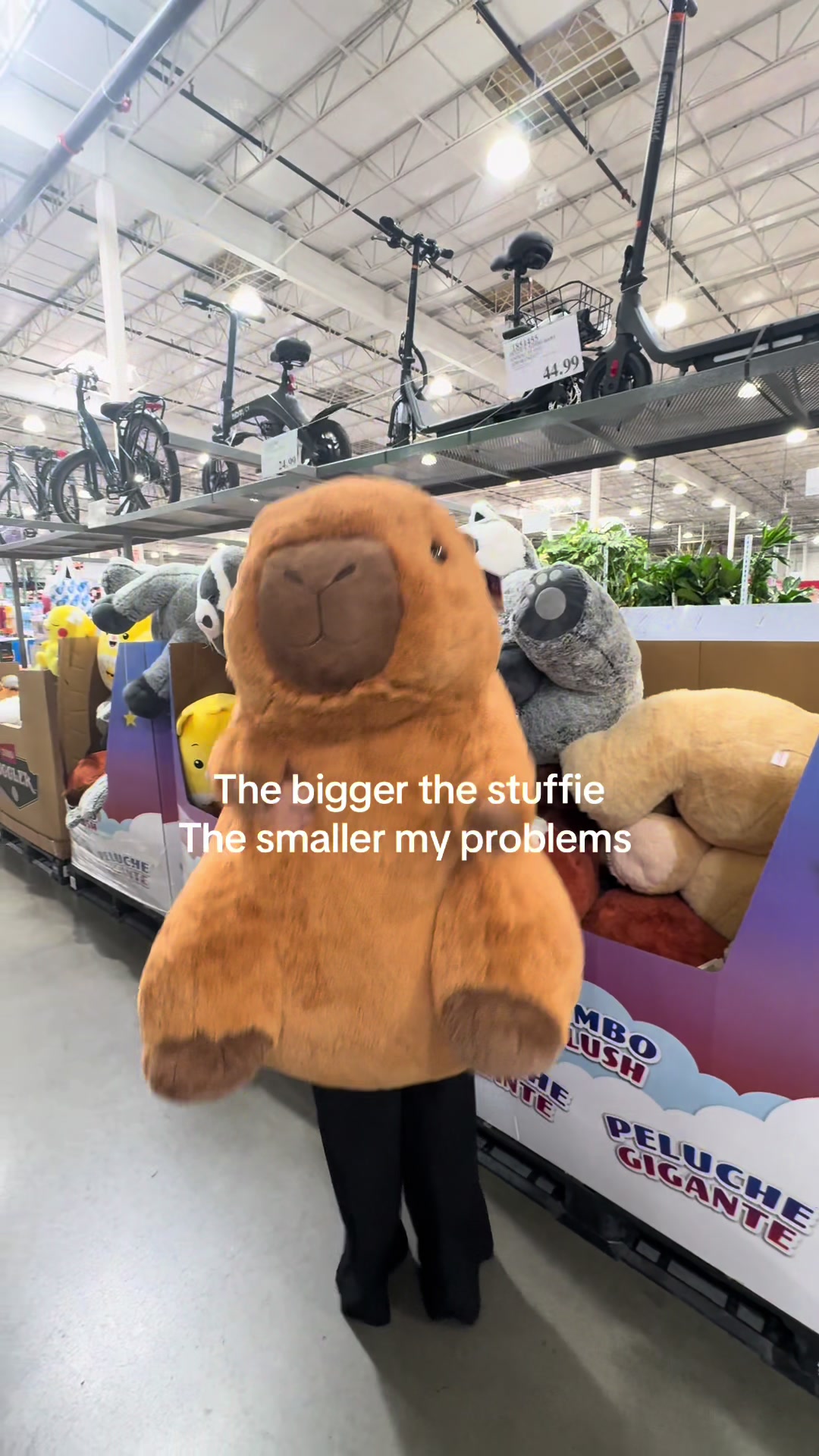 @Tabitha Hart