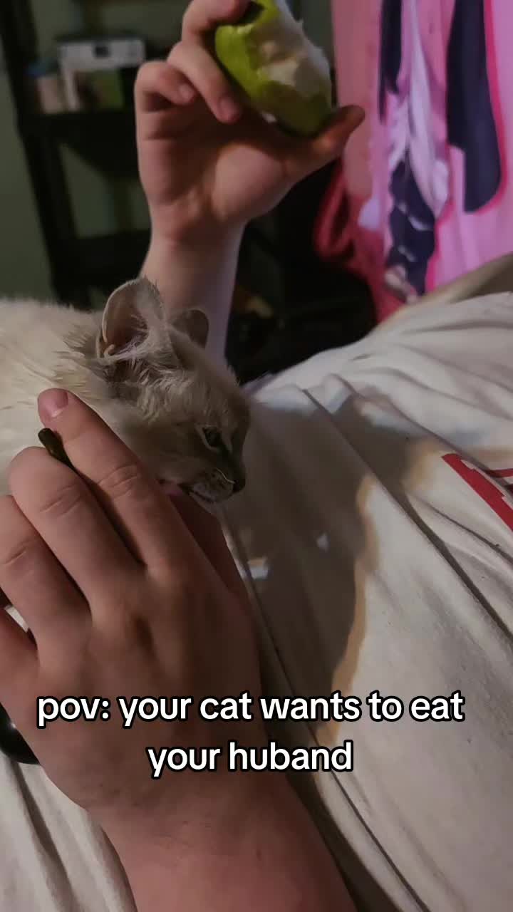 @landofdaddy