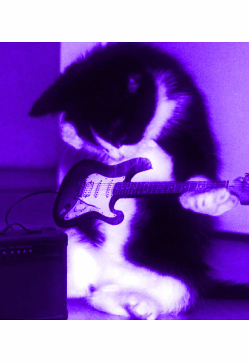 @𝐴𝑈𝑅𝐼𝑋