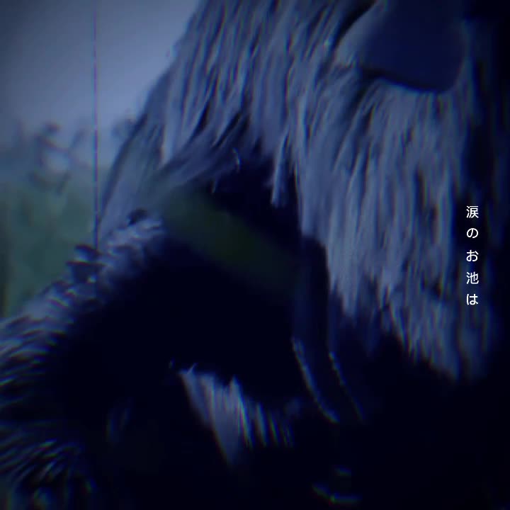 @{🦖partylizard1234🦖}