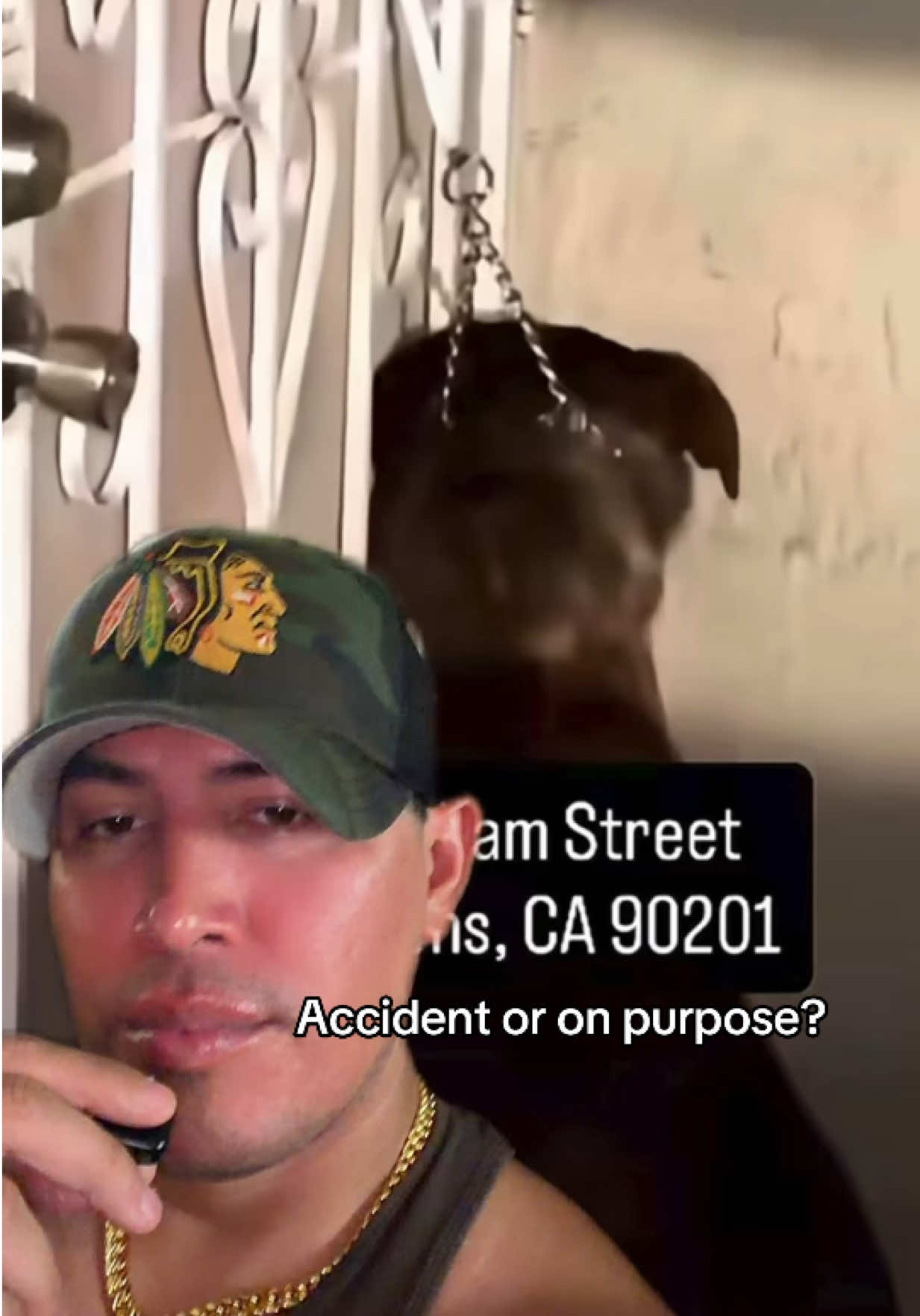 @🪶TheN8tiveDogfather🐾