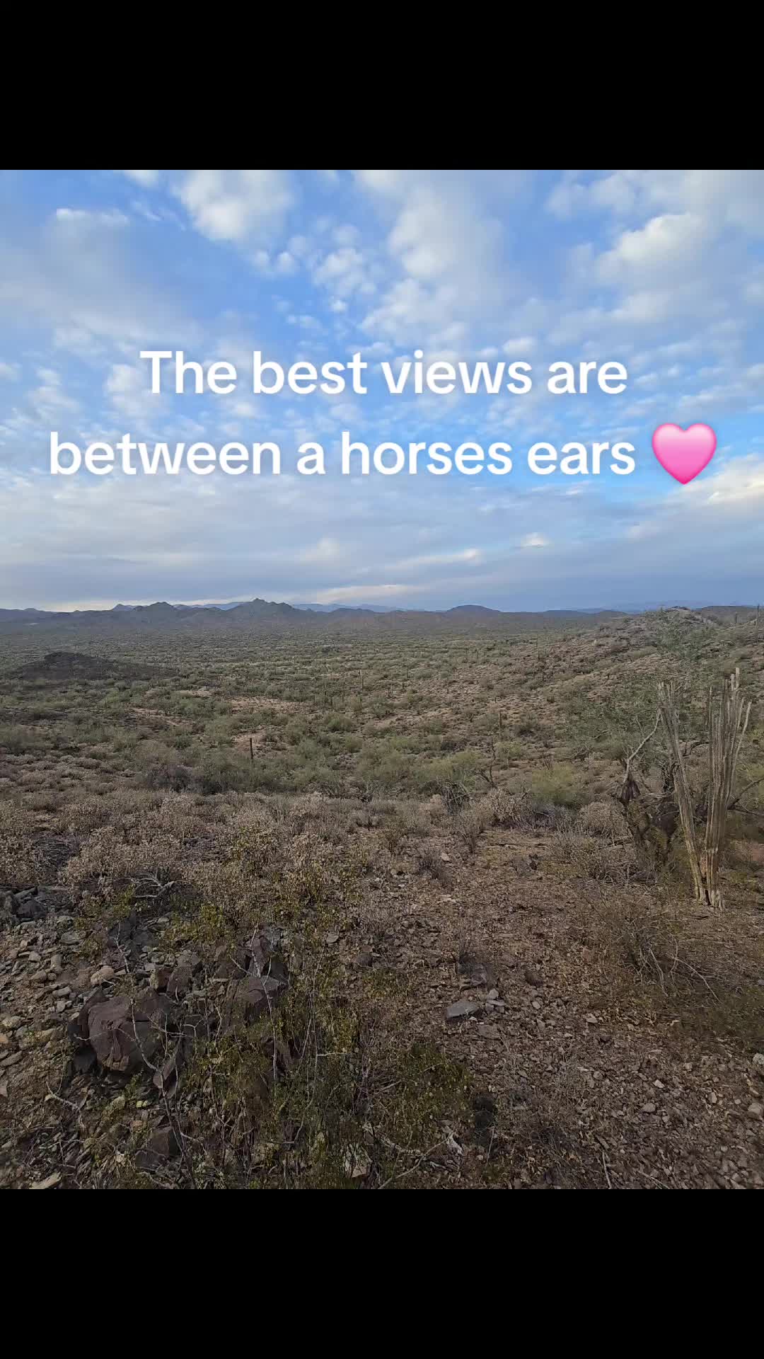 @kluv121
