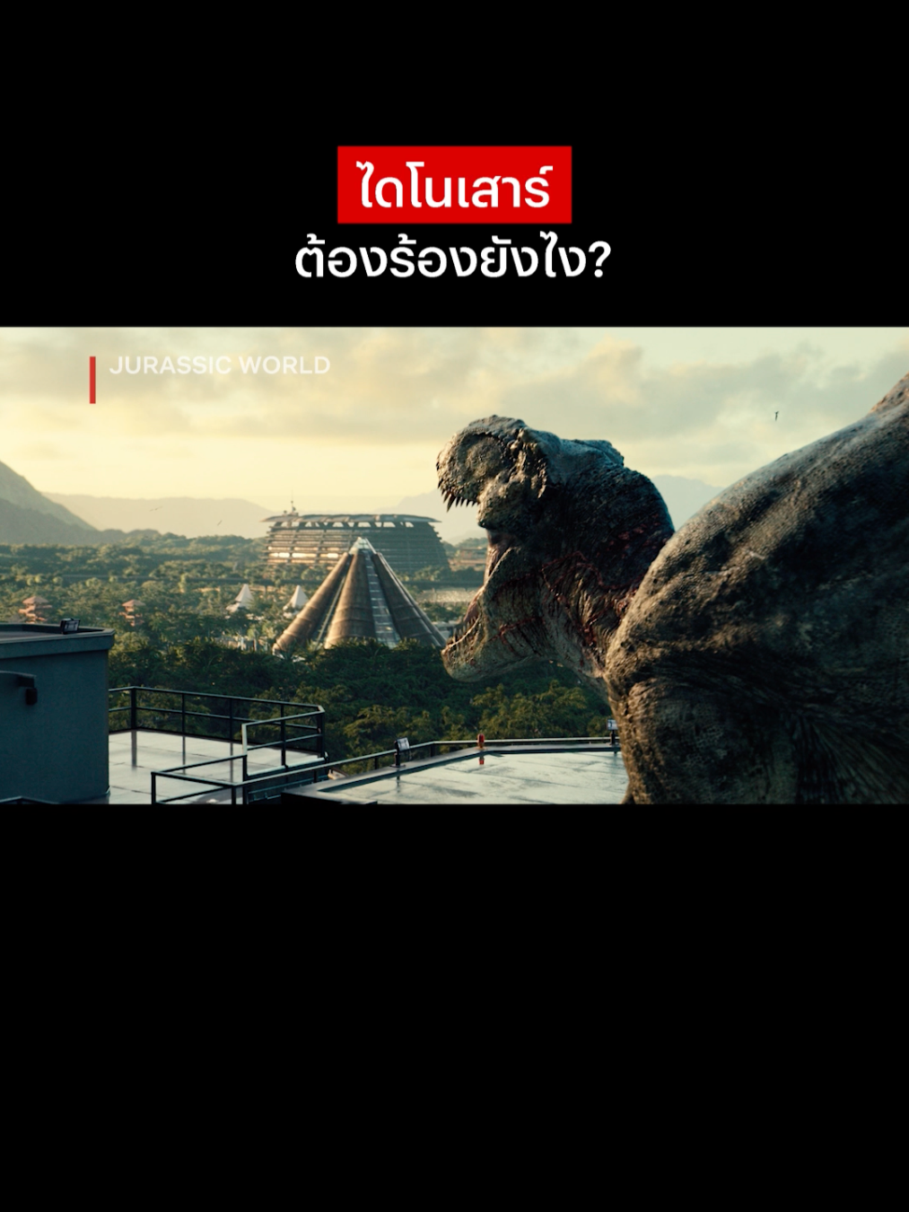 @Netflix Thailand