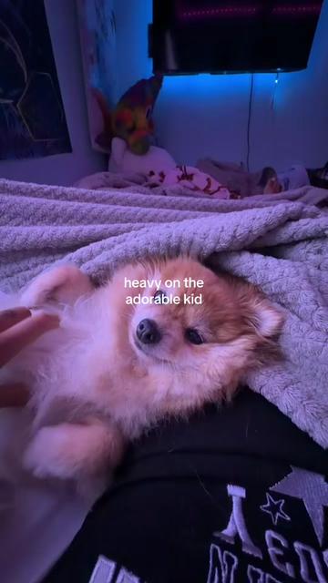 @eve 🕷️
