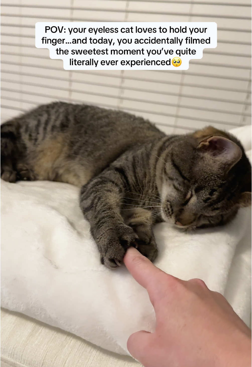 @𝘼𝙢𝙗𝙚𝙧 & 𝙎𝙩𝙚𝙫𝙞𝙚