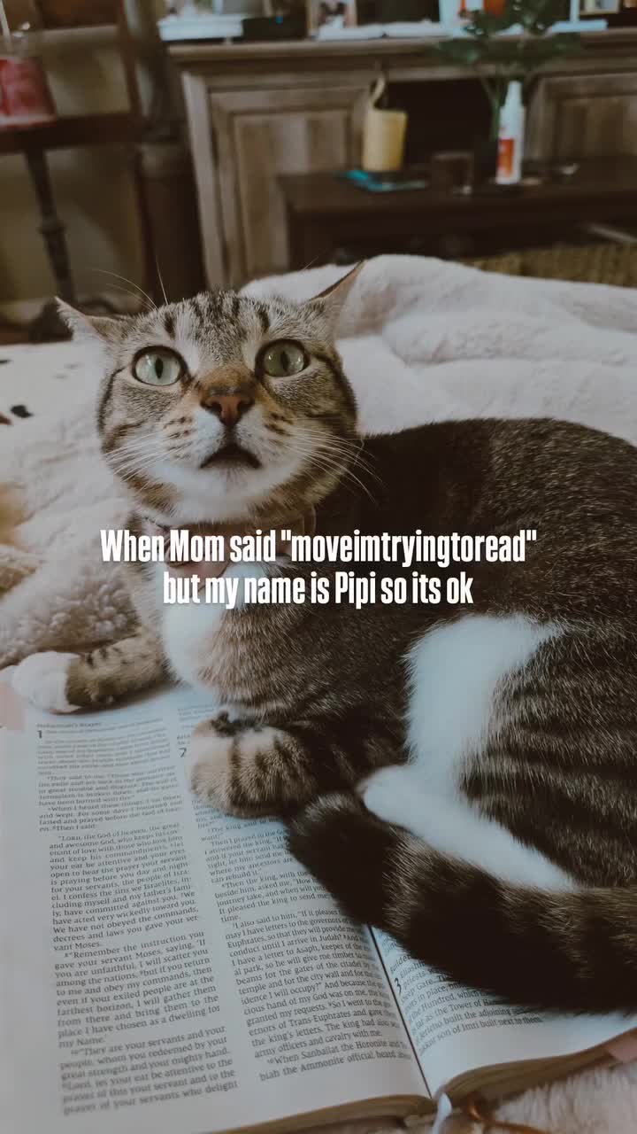 @Sami Renae ✞