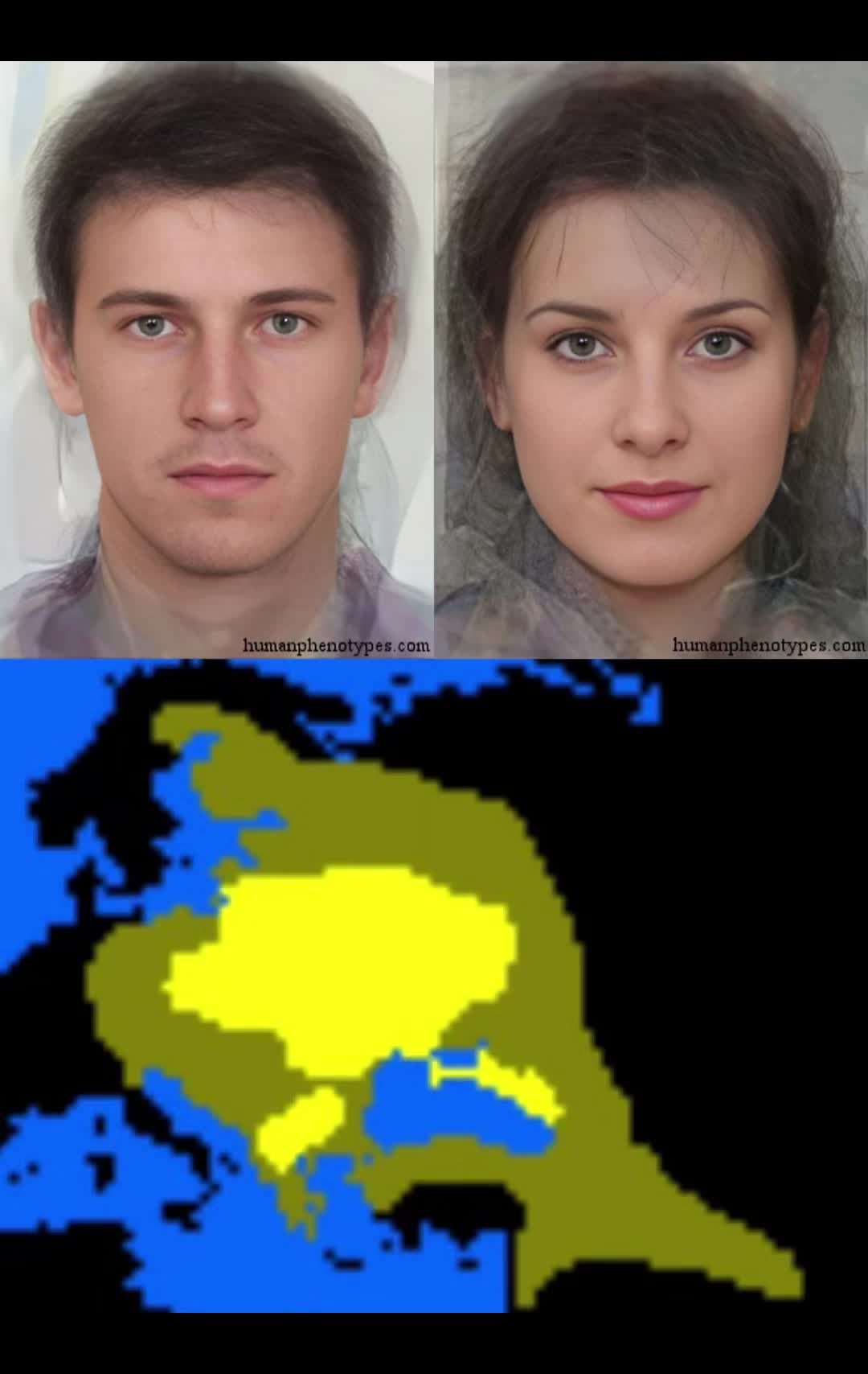 @humanphenotypes.net