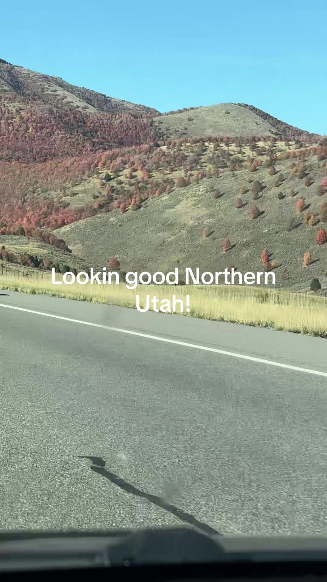 @Good Coyote