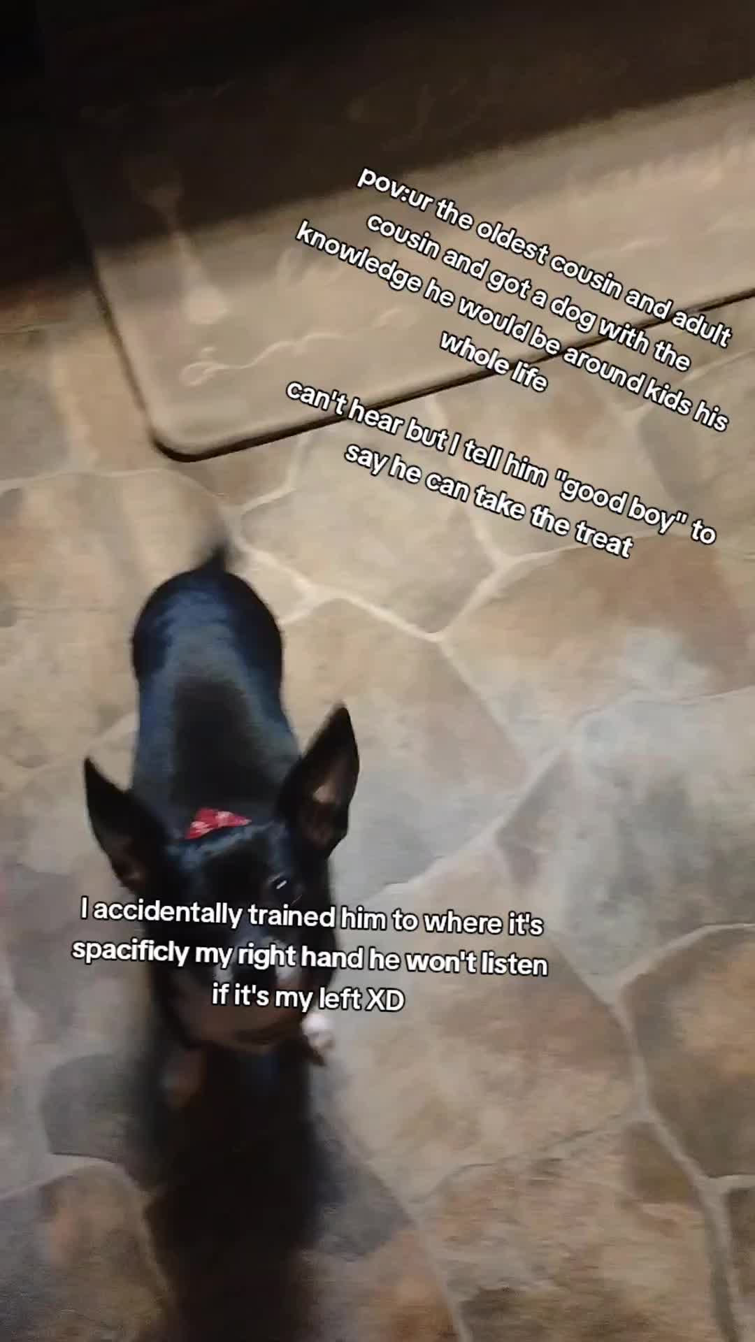 @DarkCrys