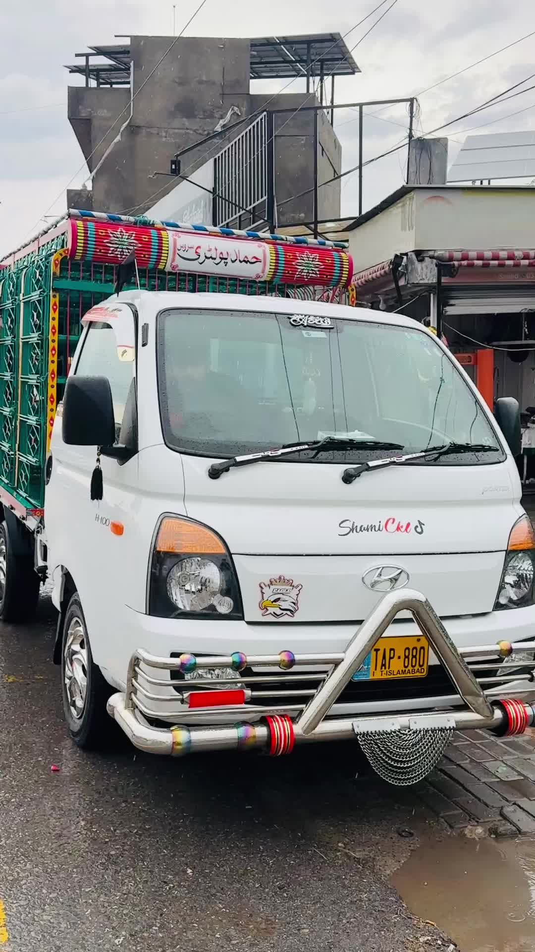 @شامی چکوال