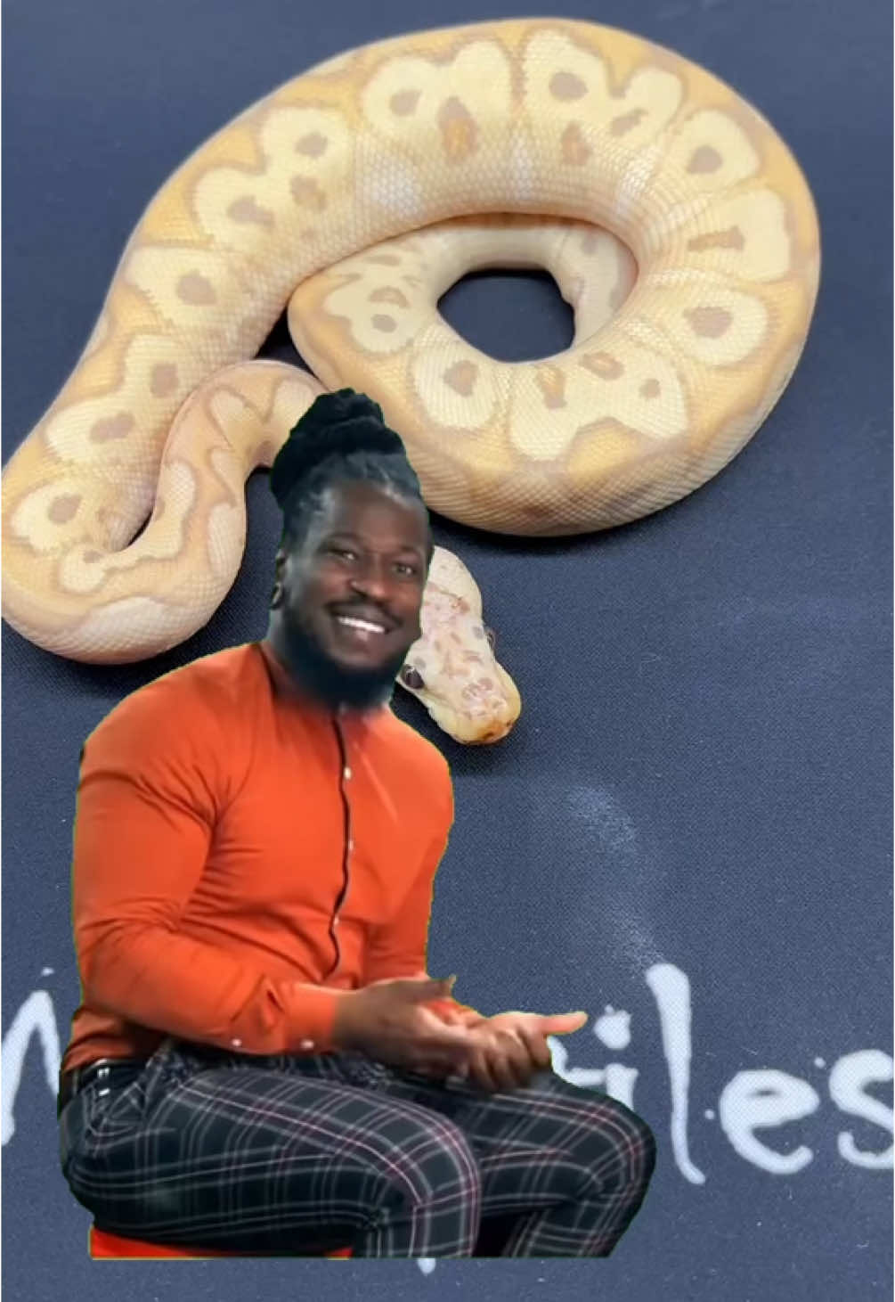 @KMReptiles